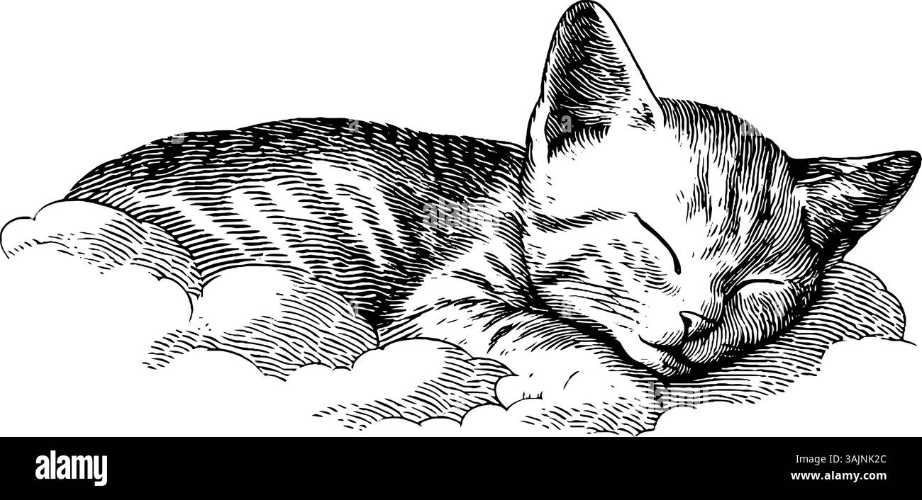 Disegno vintage in bianco e nero di un gattino addormentato nelle nuvole. Illustrazione Vettoriale