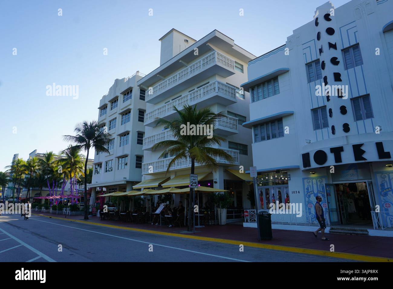 Lo storico Congress Hotel sorge tra gli edifici simbolo del quartiere Art Deco di Miami, noto anche come Miami Beach Architectural District. Foto Stock