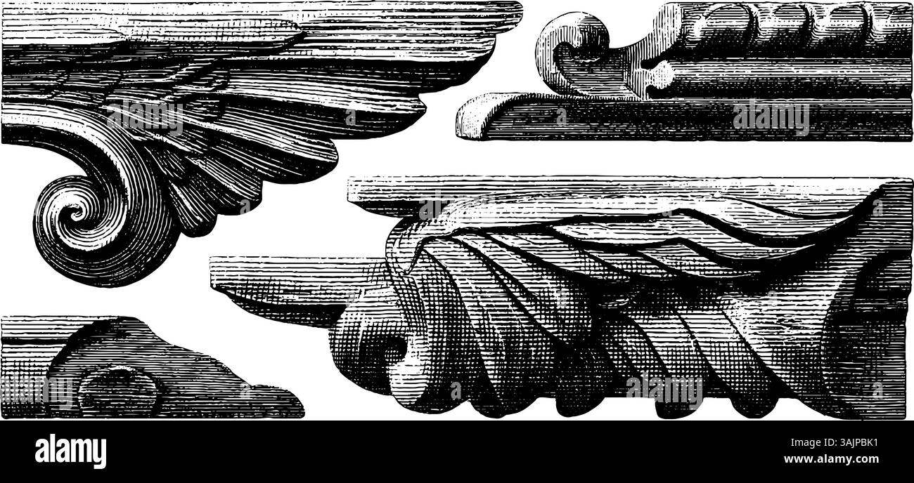 Intricate incisioni in legno architettonico vintage e dettagli decorativi. Illustrazione Vettoriale