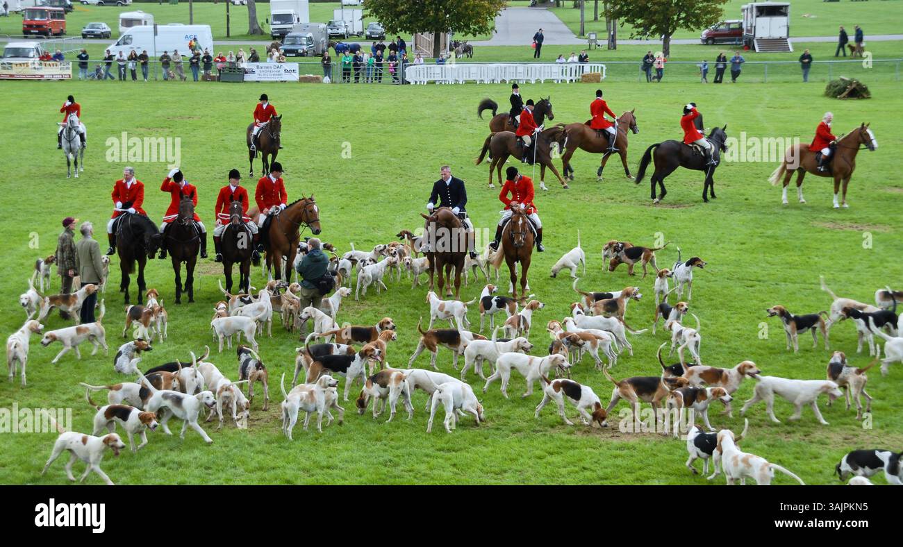 Cacciatori e cani ad una mostra campestre Foto Stock