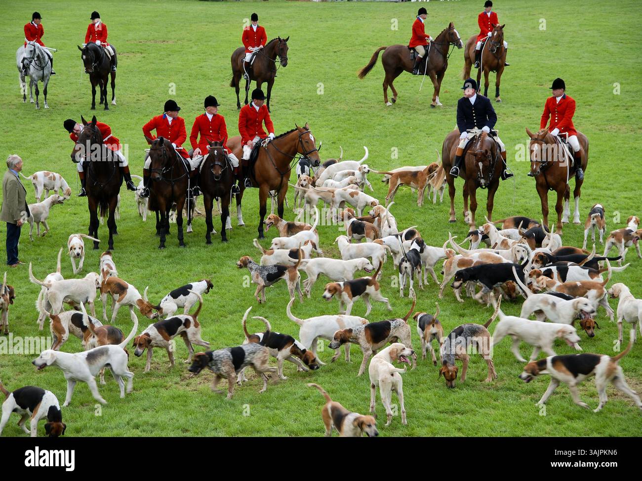 Cacciatori e cani ad una mostra campestre Foto Stock
