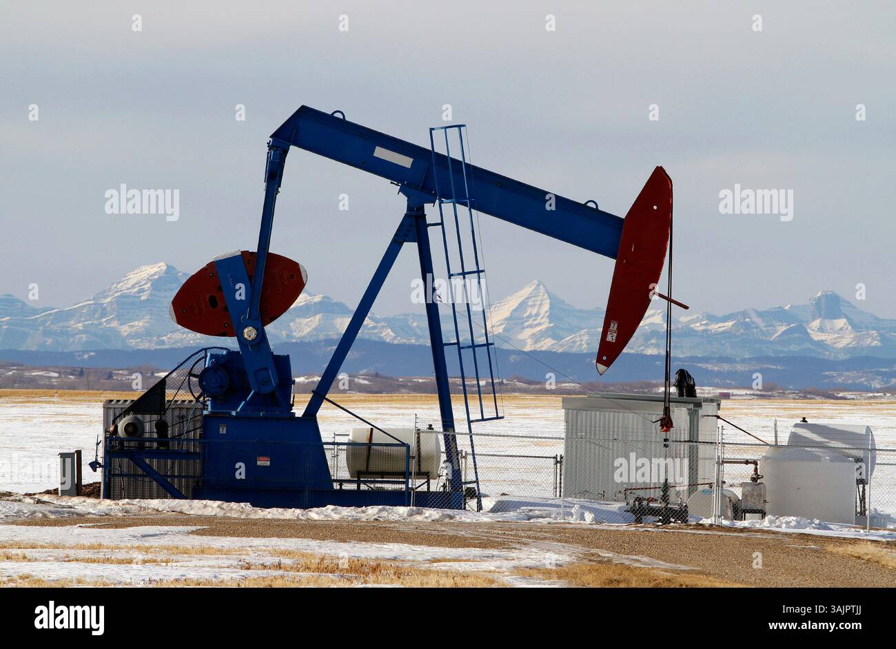 20 gennaio 2010 - Calgary, Alberta, Canada - una pompa petrolifera, di proprietà della Bonavista Petroleum, al lavoro pompando petrolio greggio vicino ad Airdrie. (Immagine di credito: © Larry MacDougal via ZUMA Wire) Foto Stock