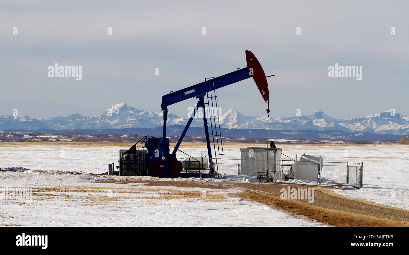 20 gennaio 2010 - Calgary, Alberta, Canada - una pompa petrolifera, di proprietà della Bonavista Petroleum, al lavoro pompando petrolio greggio vicino ad Airdrie. (Immagine di credito: © Larry MacDougal via ZUMA Wire) Foto Stock