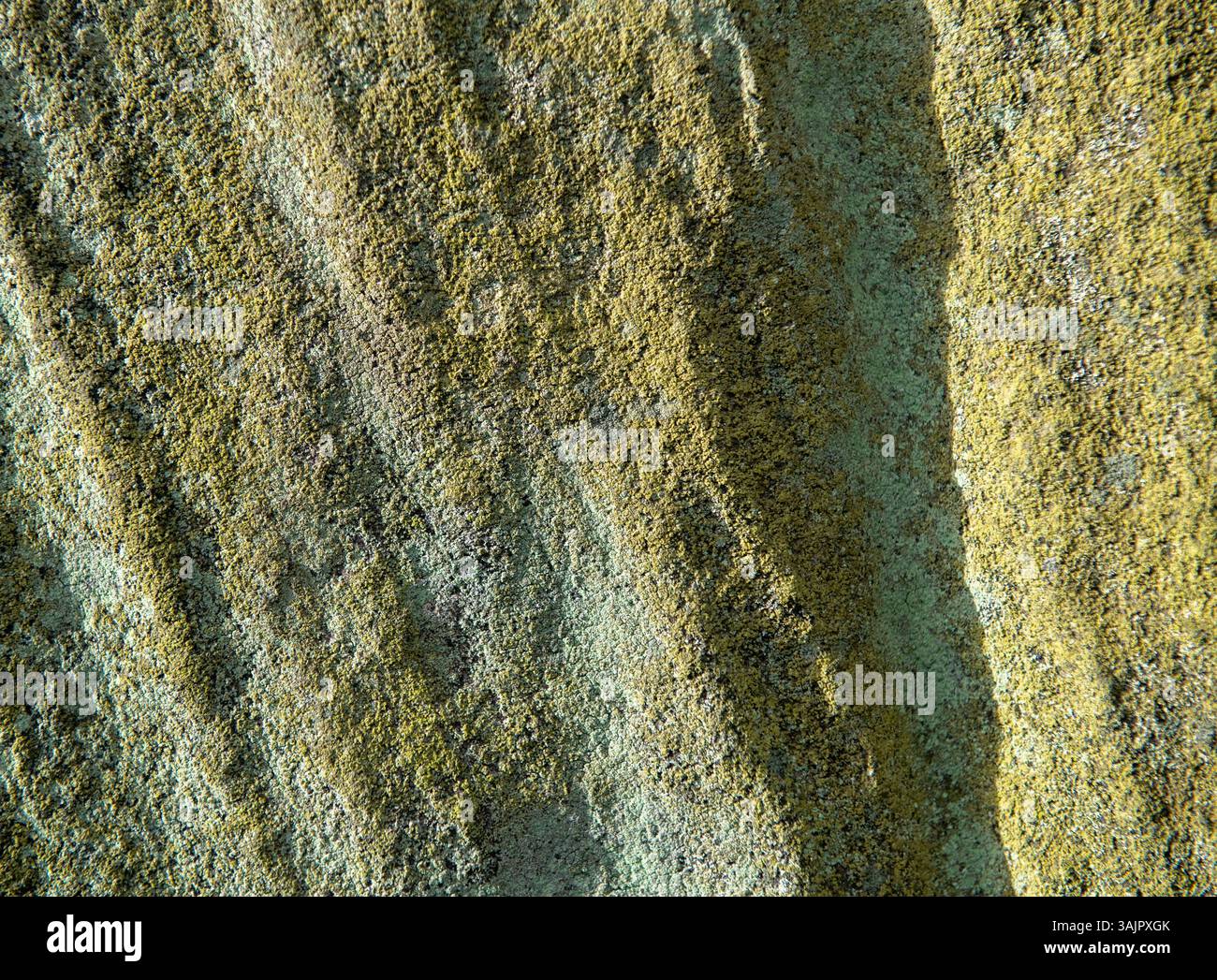 Una roccia con muschio verde che cresce su di essa. Il muschio copre la roccia in un modo che sembra un'opera d'arte Foto Stock