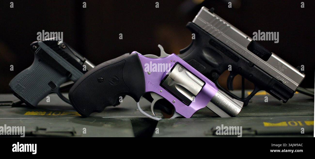 CHERIE DIEZ | Times. SP 313335 diez consumer  3(10/16/2009 ST. PETERSBURG) da sinistra, una pistola Kel-Tec P-3AT .380, una Charter Arms Lavender Lady .38 Special, e una Springfield 9MM sub-compatta presso SRT FORNISCONO DIRETTAMENTE Homeland Security Superstore. [CHERIE DIEZ, Times] (immagine di credito: © St. Petersburg Times/ZUMA Press) Foto Stock