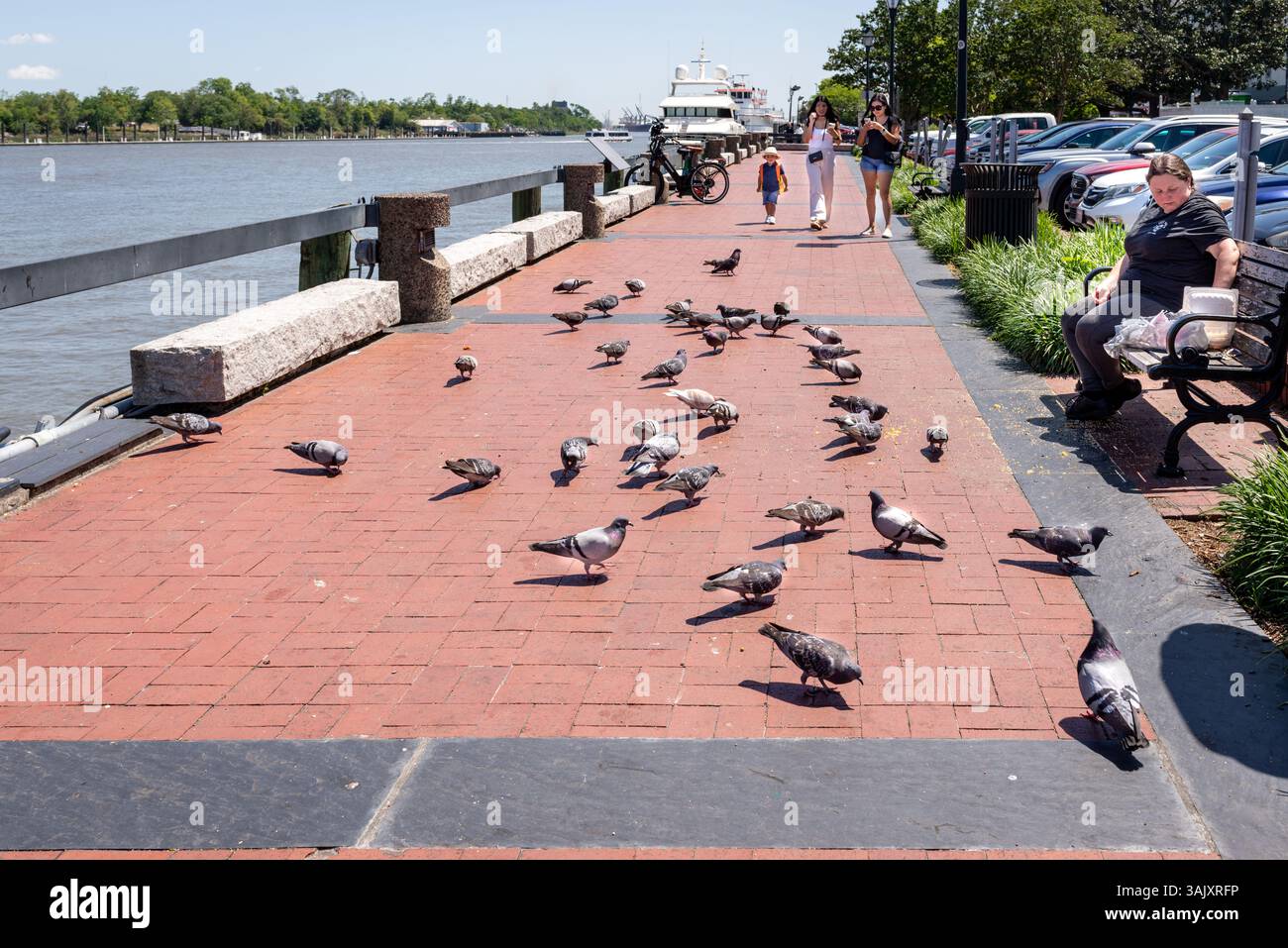 Scene di River Street, Savannah, Georgia. Foto Stock