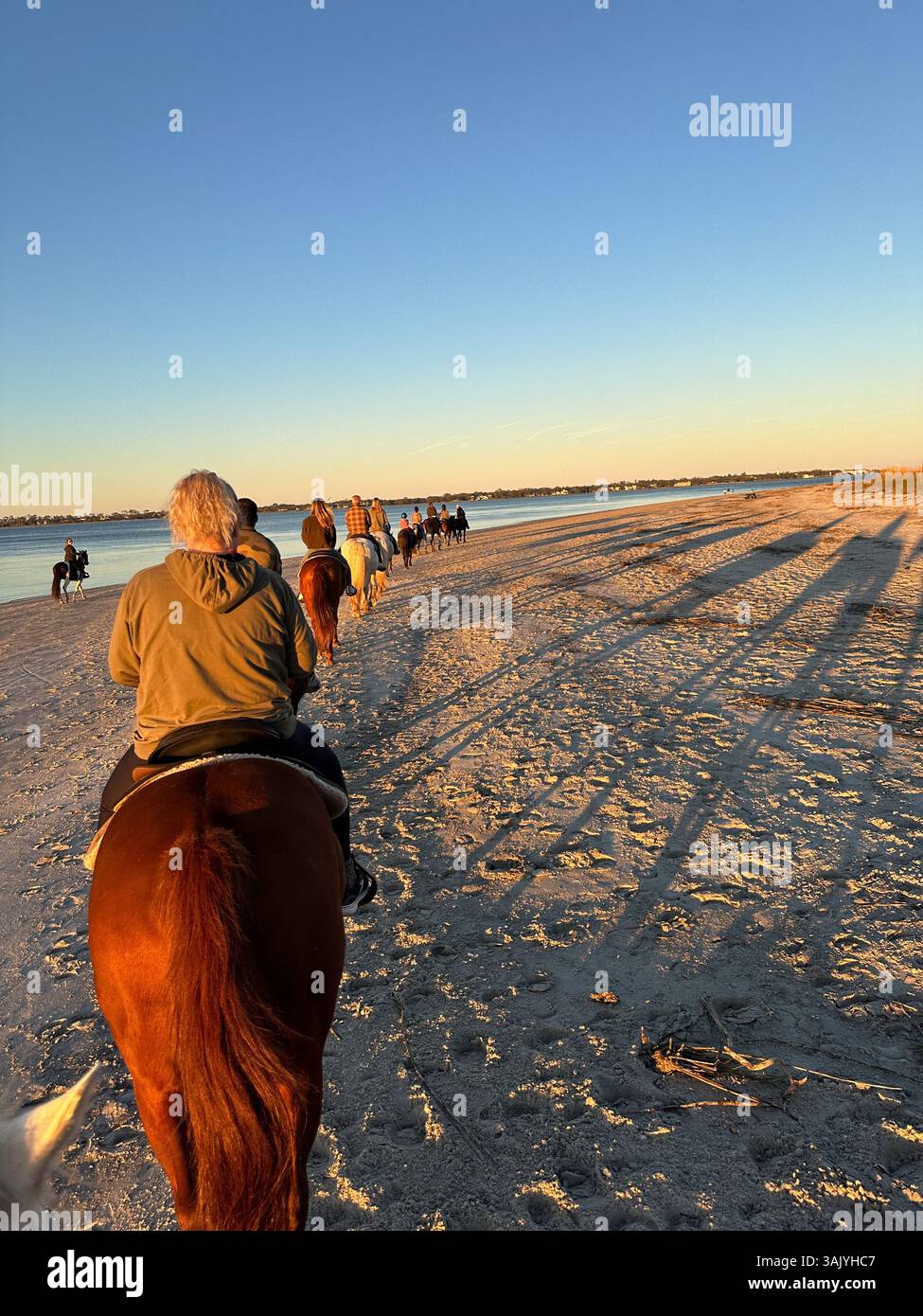 Equitazione a Jekyll Island, Georgia Foto Stock