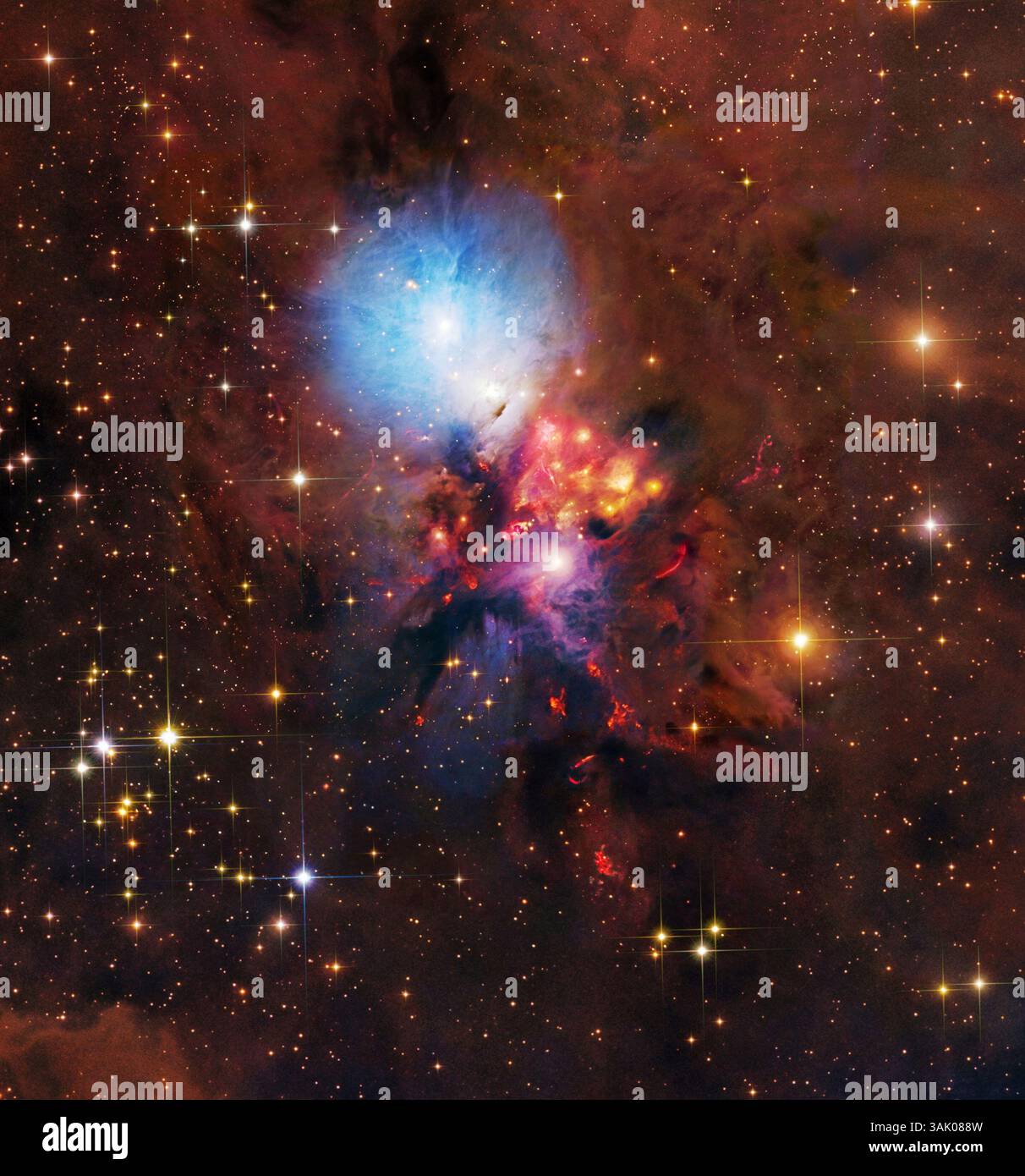Immagine composita della nebulosa di riflessione NGC 1333. Questa nebulosa si trova a circa 1000 anni luce di distanza dalla Terra nella nube molecolare di Perseo. È una regione giovane di formazione stellare molto attiva. NGC 1333 è classificato come nebulosa riflettente in quanto brilla solo perché riflette la luce delle stelle vicine. Questa immagine è un insieme di dati del Subaru Telescope presso il National Astronomical Observatory of Japan (NAOJ) alle Hawaii, USA, e del National Optical Astronomy Observatory (NOAO) in Arizona, USA. Foto Stock
