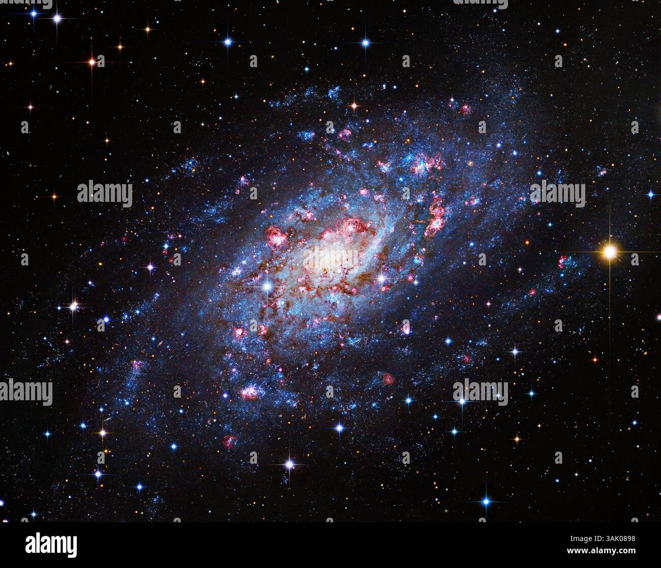 Galassia a spirale NGC 2403. Immagine composita della galassia a spirale NGC 2403 (Caldwell 7). Questa galassia si trova a circa 12 milioni di anni luce dalla Terra, nella costellazione Camelopardalis. È costituito da un nucleo centrale circondato da bracci a spirale e ospita una supernova scoperta nel 2004 (stella arancione direttamente a sinistra del nucleo della galassia). Immagine compilata dai dati del Subaru Telescope e del Hubble Space Telescope. Foto Stock