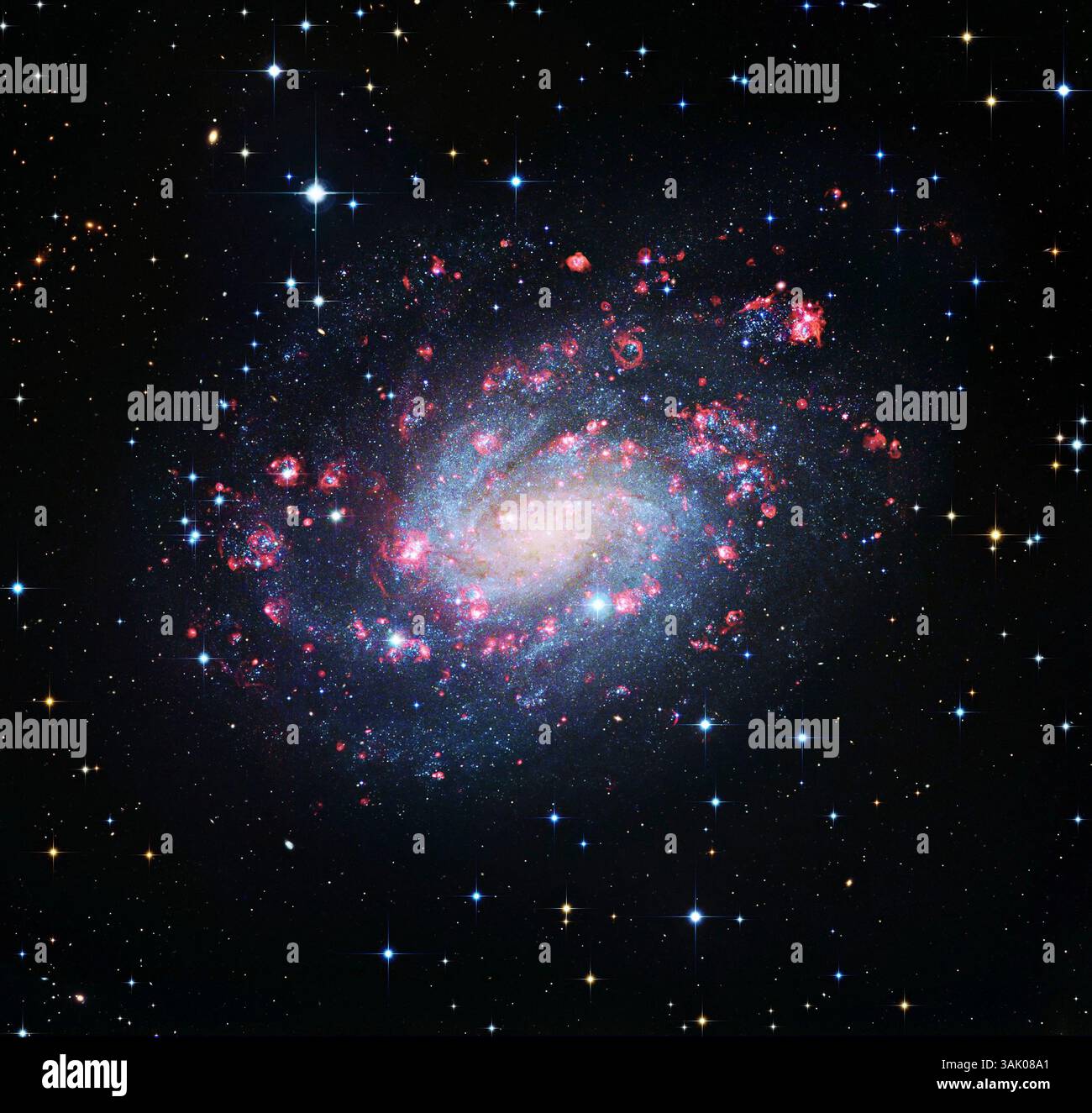 Galassia a spirale NGC 300. Immagine composita della galassia a spirale NGC 300, nota anche come C70 (Caldwell 70). I bracci a spirale, formati in modo allentato da ammassi stellari (blu), sono visti ruotare intorno al nucleo centrale (rosso). NGC 300 si trova a circa 7 milioni di anni luce dalla Terra, nella costellazione Scultore, e fa parte del gruppo Scultore delle galassie. Immagine dell'Osservatorio europeo del Sud (ESO). Foto Stock