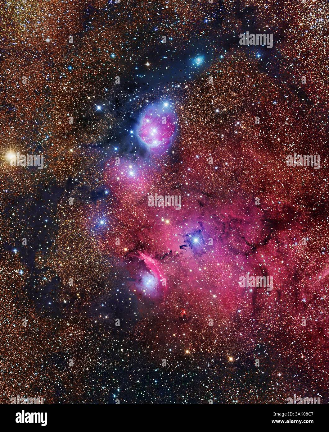 Nebulose di emissione e riflessione NGC 6559, immagine composita. Queste nebulose fanno parte di una regione di formazione stellare che si trova a 5000 anni luce dalla Terra, nella costellazione del Sagittario. Questa immagine a mosaico combina i dati di un telescopio RCO da 14,5 pollici, una telecamera STL-11000 e la Sky Survey digitalizzata. Foto Stock