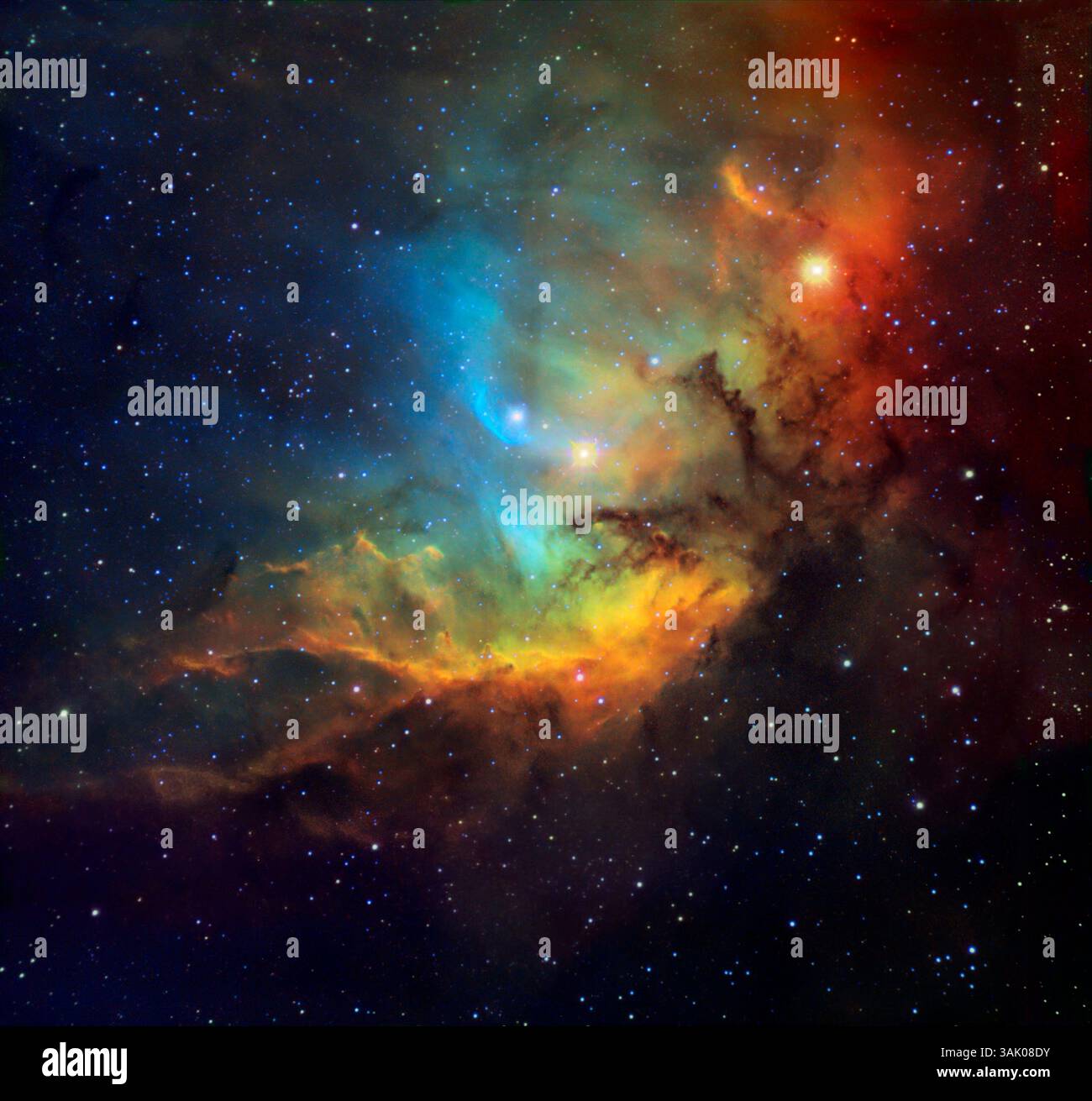 Nebulosa tulipano, immagine ottica. Questa è una nebulosa di emissione, un'enorme nube di gas e polvere che brilla mentre l'idrogeno che contiene viene ionizzato dalle radiazioni delle giovani stelle calde che si sono formate al suo interno. La nebulosa si trova a circa 6000 anni luce dalla Terra nella costellazione di Cygnus. Immagine dal telescopio 0,9 M del West Mountain Observatory, Utah, USA. Foto Stock