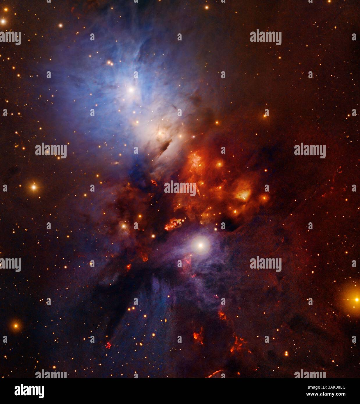 Nebulosa a riflessione NGC 1333, immagine composita. Questa nebulosa si trova a circa 1000 anni luce dalla Terra, nella costellazione di Perseo. Questa immagine combina i dati del Subaru Telescope del National Astronomical Observatory of Japan (NAOJ), del Digitized Sky Survey e del National Optical Astronomy Observatory (NOAO). Foto Stock