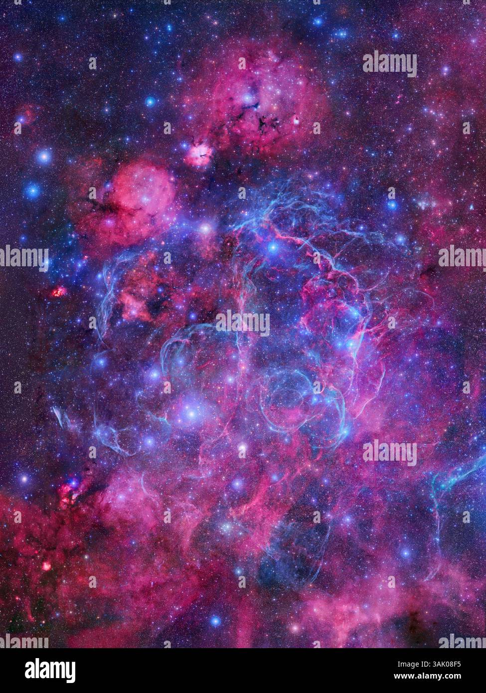 Vela supernova residuo, immagine a mosaico. Questi sottili fili di nebulosità sono i resti di una stella che ha concluso la sua vita come enorme esplosione di supernova circa 11.000 anni fa. Il resto si trova a circa 900 anni luce dalla Terra nella costellazione di Vela, e copre un'area del cielo di quasi 10 lunghezze. Quasi al centro di questa grande conchiglia di gas si trova la pulsar 0833- 45, una stella di neutroni che si crede sia il nucleo sopravvissuto della stella originale. Questo mosaico a 117 pannelli utilizza i dati della scansione digitale Sky Survey. Foto Stock