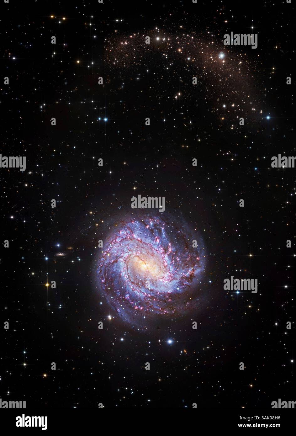 Immagini combinate dal Subaru Telescope e dal Hubble Space Telescope della Southern Pinwheel Galaxy (M83, NGC 5236) con un flusso di marea stellare. Questa galassia a spirale si trova a 14,7 milioni di anni luce dalla Terra, nella costellazione di Hydra. Sopra di esso si può vedere un flusso stellare, un'associazione di stelle che sono i resti di ammasso globulare o galassia nana, ora staccato e allungato lungo la sua orbita dalle forze mareali. Foto Stock