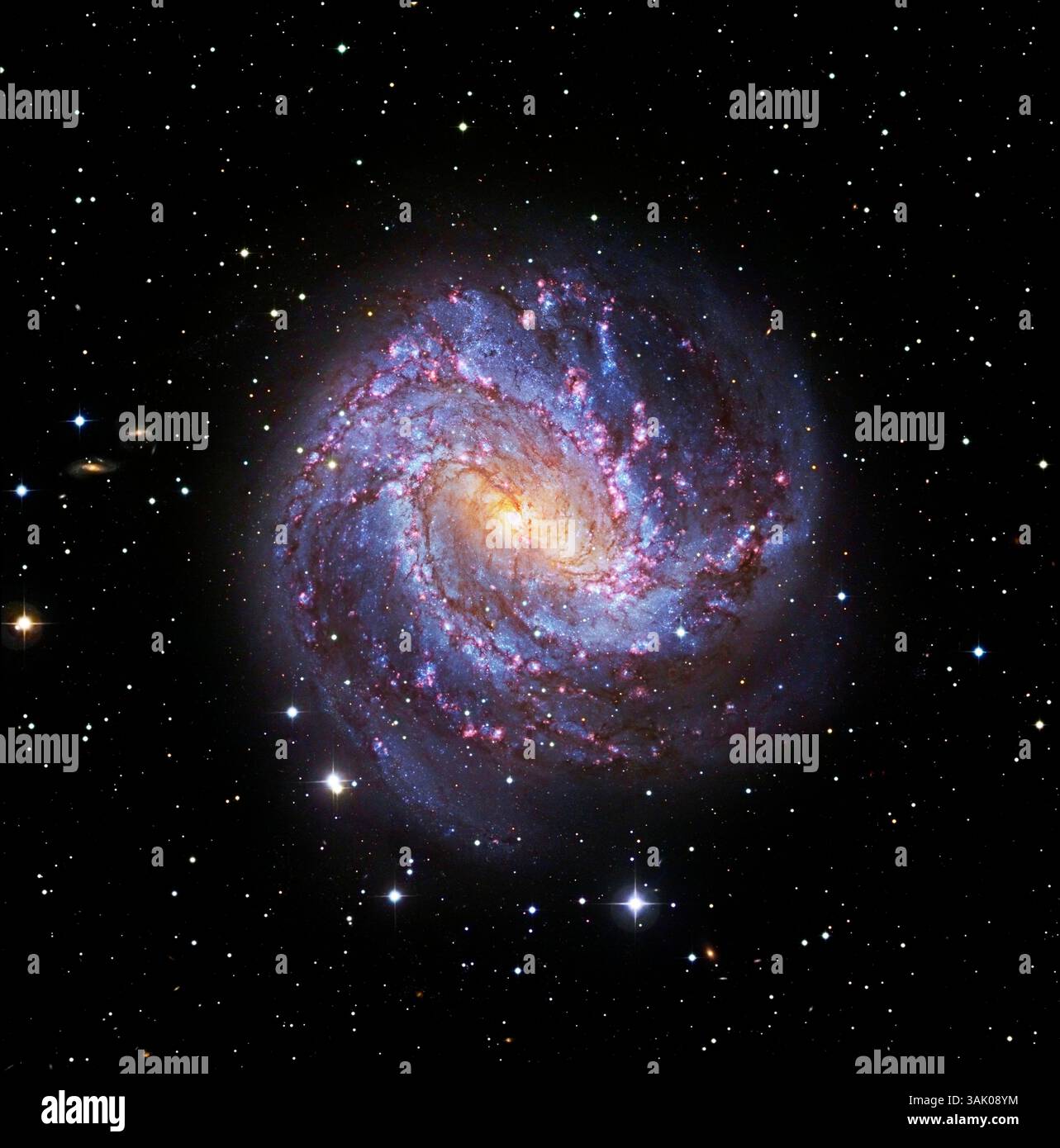 Southern Pinwheel Galaxy (M83). Immagini combinate dal Subaru Telescope e dal Hubble Space Telescope della Southern Pinwheel Galaxy (M83, NGC 5236). Questa galassia a spirale si trova a 14,7 milioni di anni luce dalla Terra, nella costellazione di Hydra. Foto Stock
