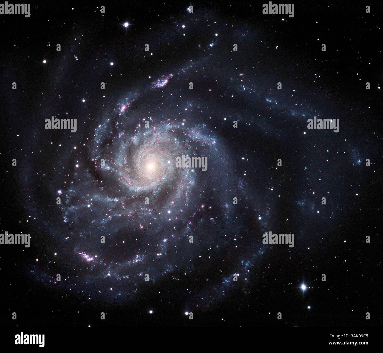 Galassia Pinwheel (M101), immagine ottica. Questa è una grande galassia a spirale che si trova a circa 22 milioni di anni luce dalla Terra nella costellazione dell'Orsa maggiore. È una delle più grandi galassie a spirale conosciute, con una larghezza di oltre 170.000 anni luce. Le sue braccia a spirale contengono un gran numero di regioni di nascita stellare (rosa), immense nuvole di gas illuminate dalle giovani stelle calde al loro interno. Le braccia appaiono blu in quanto sono in gran parte popolate da giovani stelle, di colore bianco o blu. Il nucleo centrale piccolo e stretto è più giallo in quanto contiene stelle più vecchie e più rosse e una maggiore concentrazione di polvere. Foto Stock