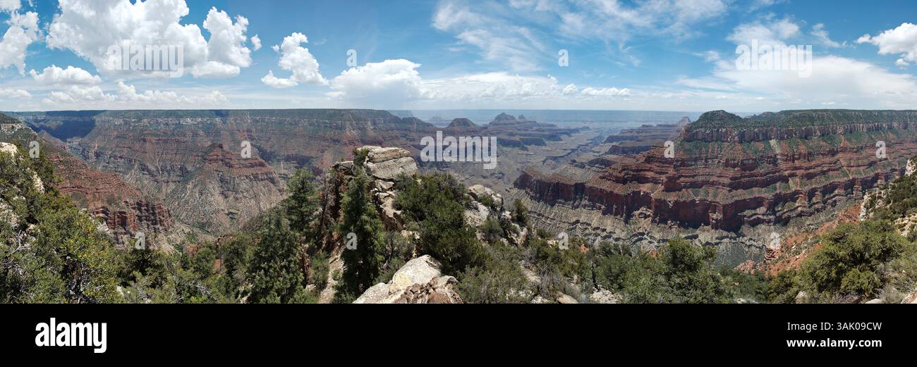 Grand Canyon. Questa vista è a Bright Angel Point sul versante nord del canyon. Il Grand Canyon è la gola più grande del mondo. Si formò quando il fiume Colorado si erose attraverso letti elevatori di morbida roccia sedimentaria. Il canyon è lungo oltre 440 chilometri e in alcuni luoghi è profondo oltre 1,5 chilometri. Le rocce più antiche, esposte sul fondo del canyon, risalgono a circa due miliardi di anni fa. Foto Stock