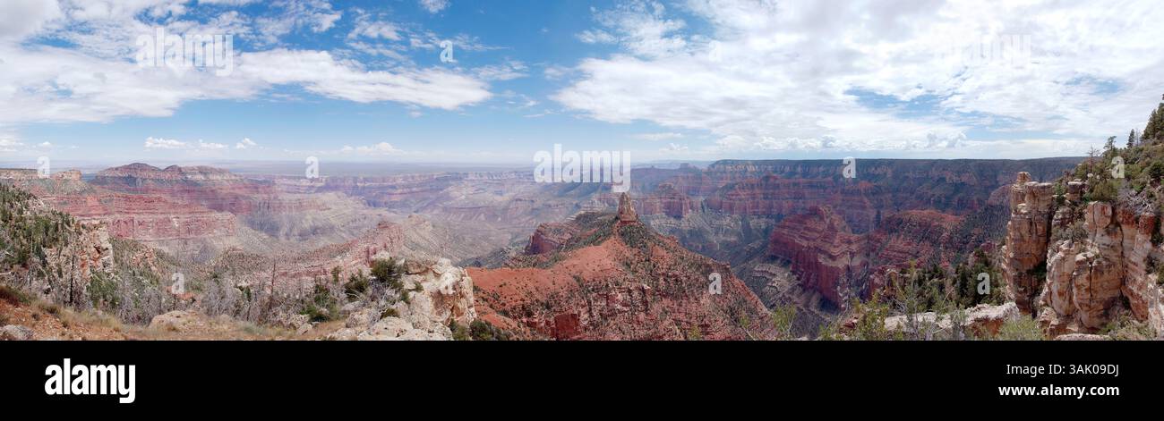 Grand Canyon. Questa vista è a Point Imperial sul versante nord del canyon. Il Grand Canyon è la gola più grande del mondo. Si formò quando il fiume Colorado si erose attraverso letti elevatori di morbida roccia sedimentaria. Il canyon è lungo oltre 440 chilometri e in alcuni luoghi è profondo oltre 1,5 chilometri. Le rocce più antiche, esposte sul fondo del canyon, risalgono a circa due miliardi di anni fa. Foto Stock