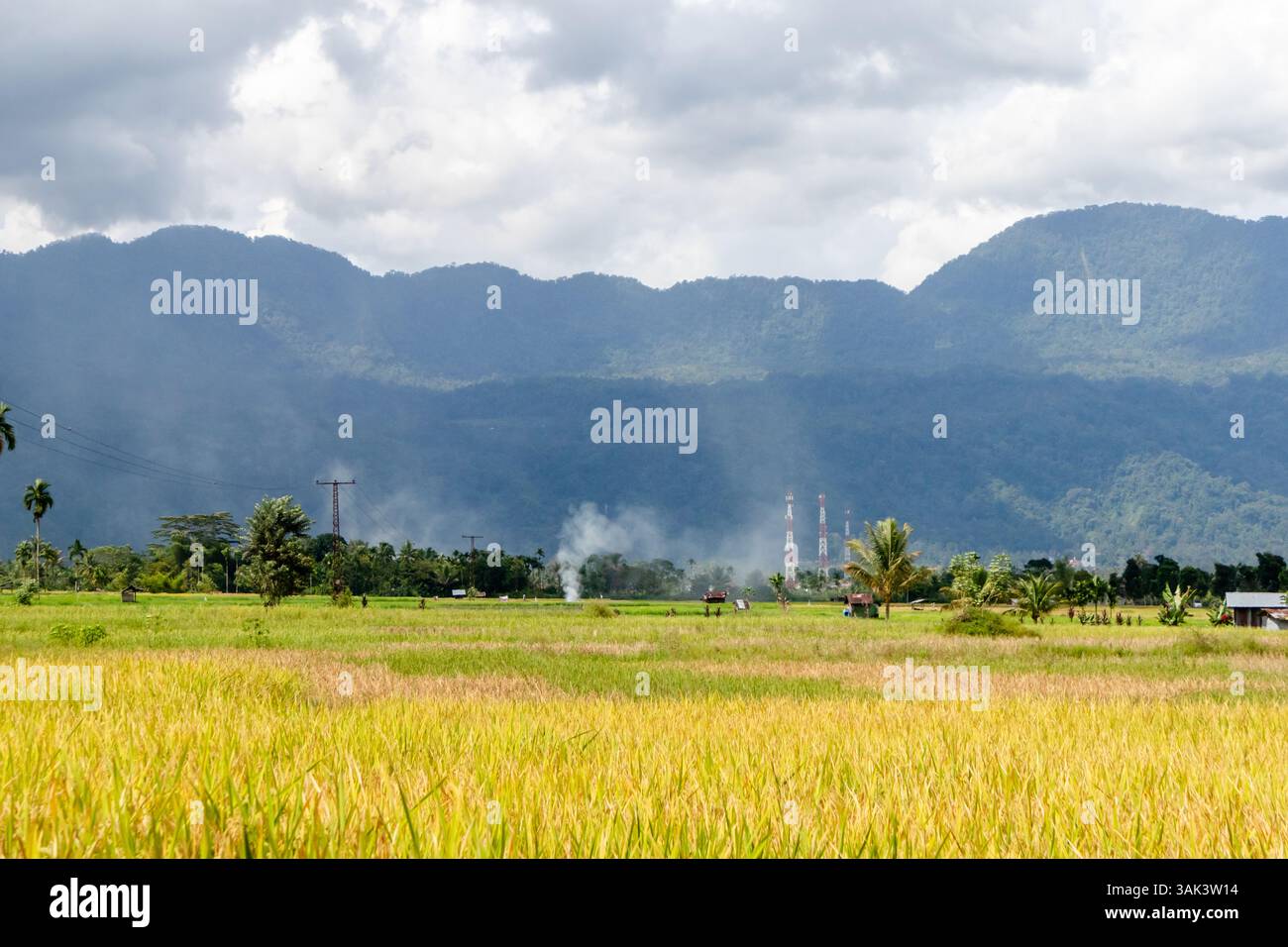 Campi di riso ai piedi di una collina in un villaggio con pali di elettricità e torri di telecomunicazione Foto Stock