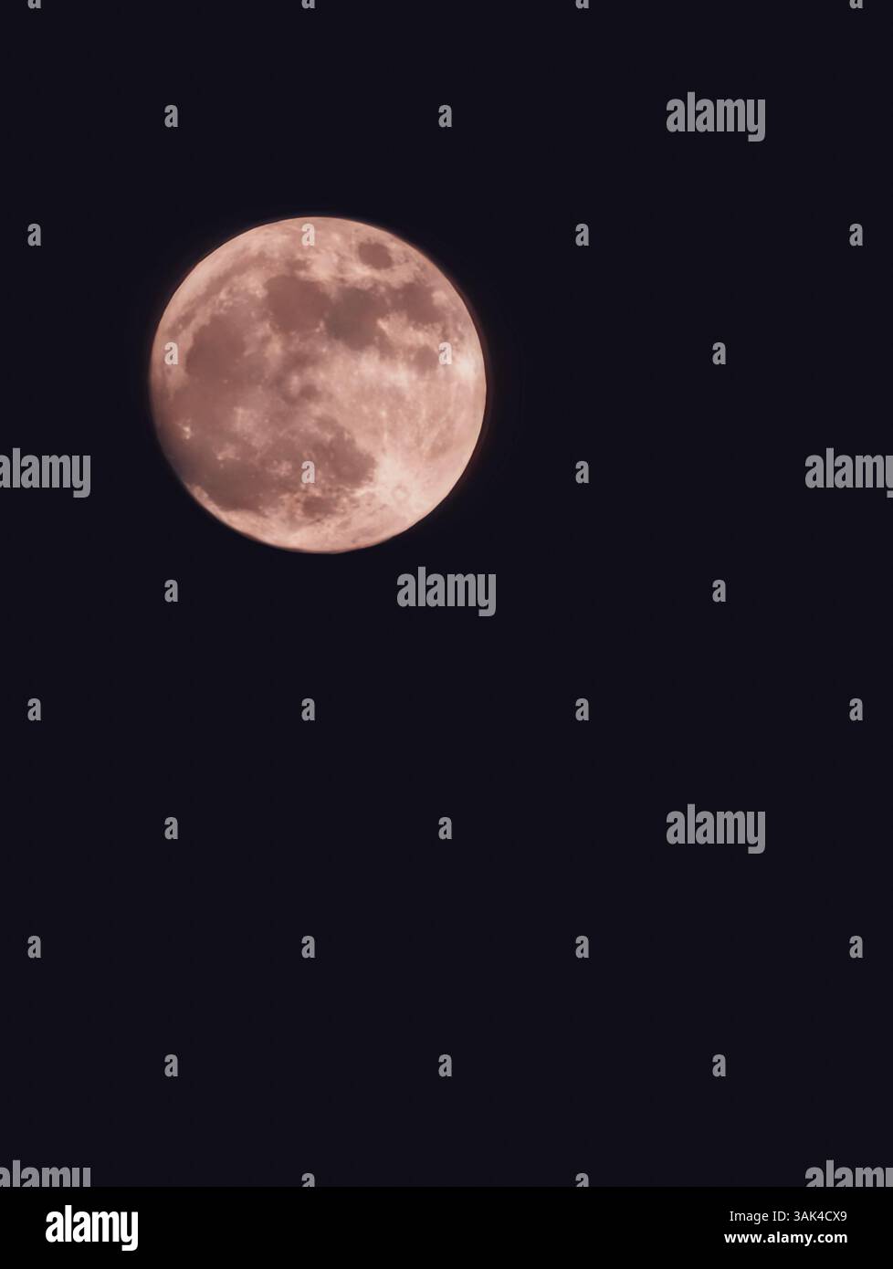 Incredibile primo piano di una luna piena rosa che illumina il cielo scuro, catturando la bellezza delle meraviglie celesti notturne in astrofotografia Foto Stock