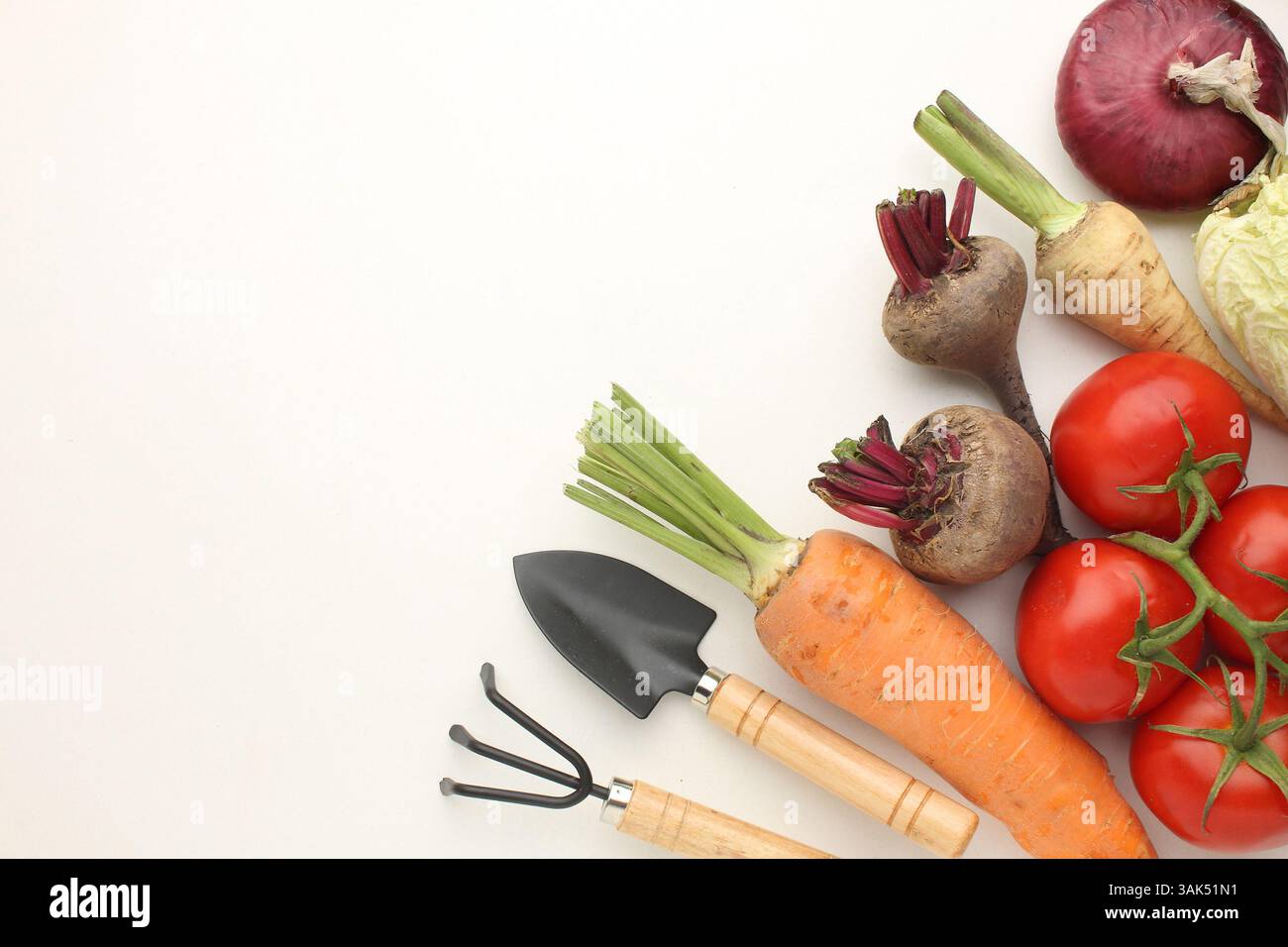 un gruppo di verdure fresche su sfondo bianco. Foto di alta qualità Foto Stock