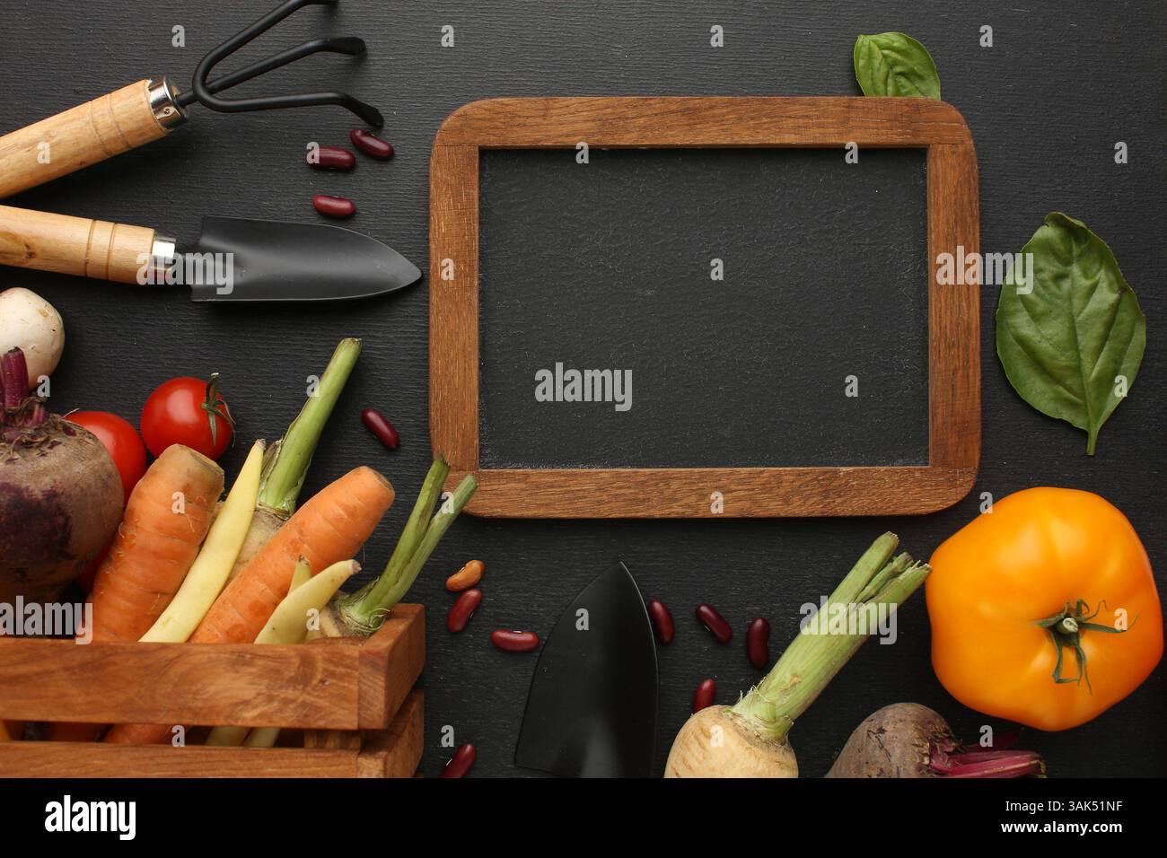 Cibo biologico di grandi dimensioni. Verdure crude fresche. Su una lavagna nera. Foto di alta qualità Foto Stock