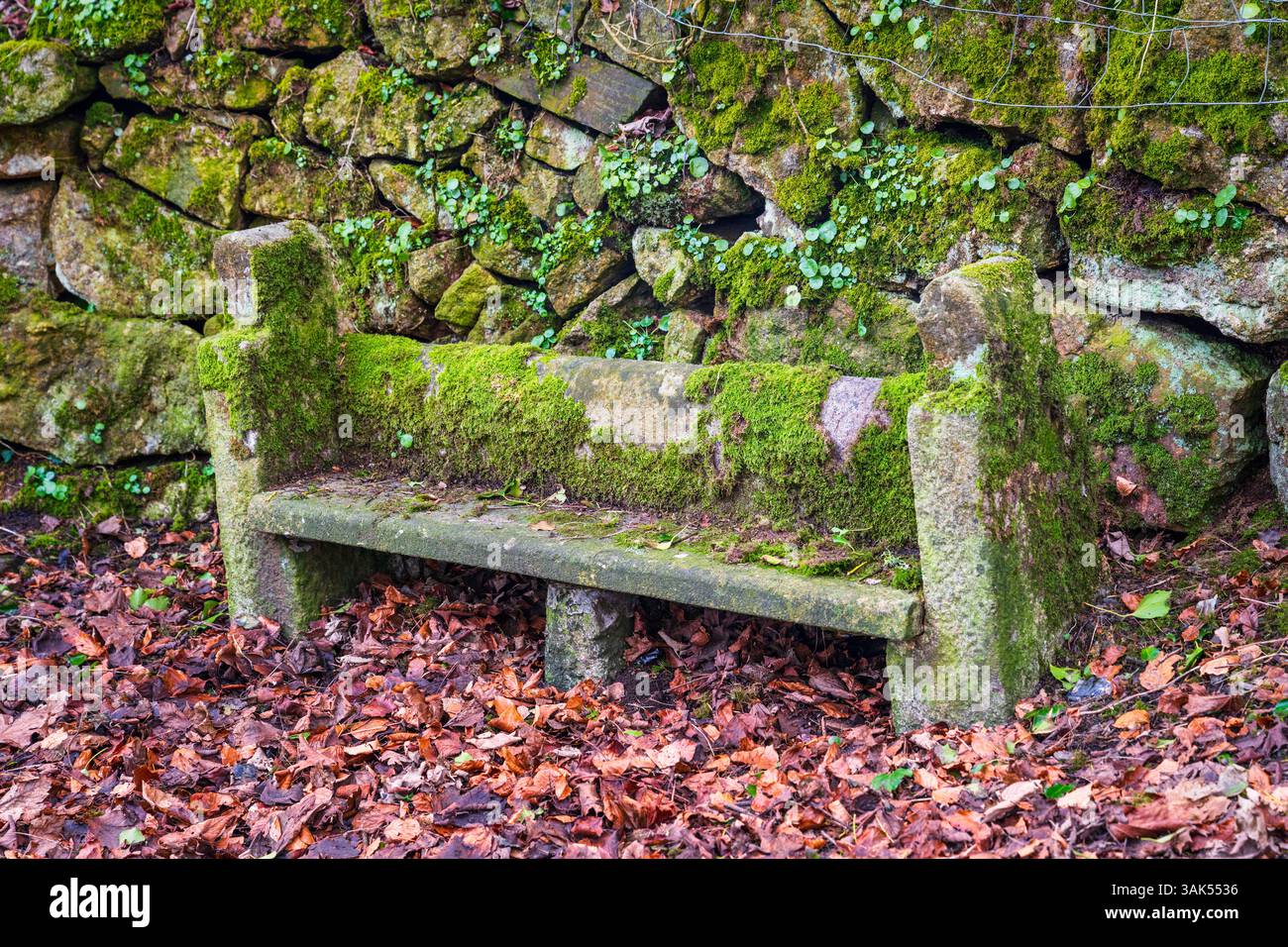 Una panchina di pietra bassa e muschiata vicino al cancello della brughiera del lago Birchy, Belstone, Dartmoor, Devon, Inghilterra, REGNO UNITO. Foto Stock