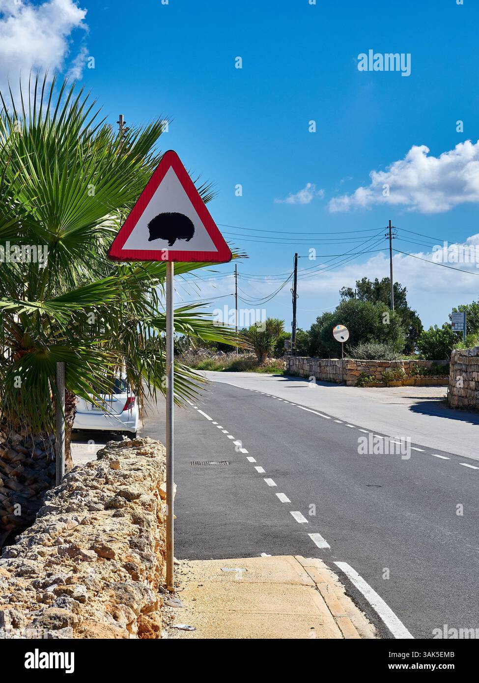 Segnaletica stradale per avvisare i ricci sulla strada Foto Stock