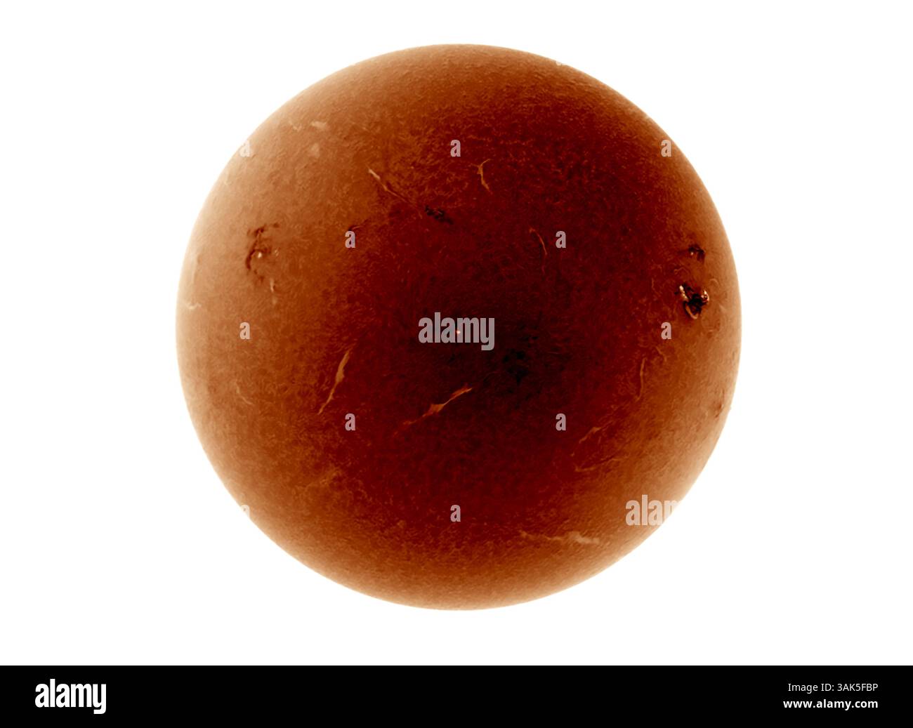 12.4,25, Londra, Regno Unito. La lunghezza d'onda alfa del Sole in idrogeno che mostra i dettagli della cromosfera come un gruppo principale di macchie solari si avvicina all'arto solare Foto Stock