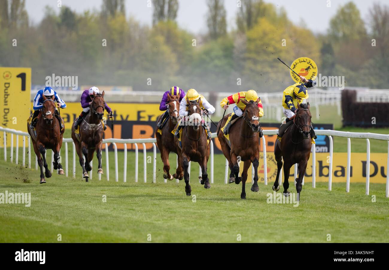 Newbury, Regno Unito. Sabato 12 aprile 2025. Divina Grace e David Probert vincono il Dubai Duty Free Finest Surprise Stakes ( Classe 1 ) ( registrato come John Porter Stakes ) ( gruppo 3 ) per l'allenatore Andrew Balding e i proprietari Top Hat & Tails. Crediti JTW equine Images / Alamy Live News Foto Stock