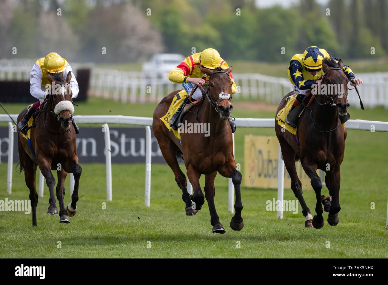 Newbury, Regno Unito. Sabato 12 aprile 2025. Divina Grace e David Probert vincono il Dubai Duty Free Finest Surprise Stakes ( Classe 1 ) ( registrato come John Porter Stakes ) ( gruppo 3 ) per l'allenatore Andrew Balding e i proprietari Top Hat & Tails. Crediti JTW equine Images / Alamy Live News Foto Stock