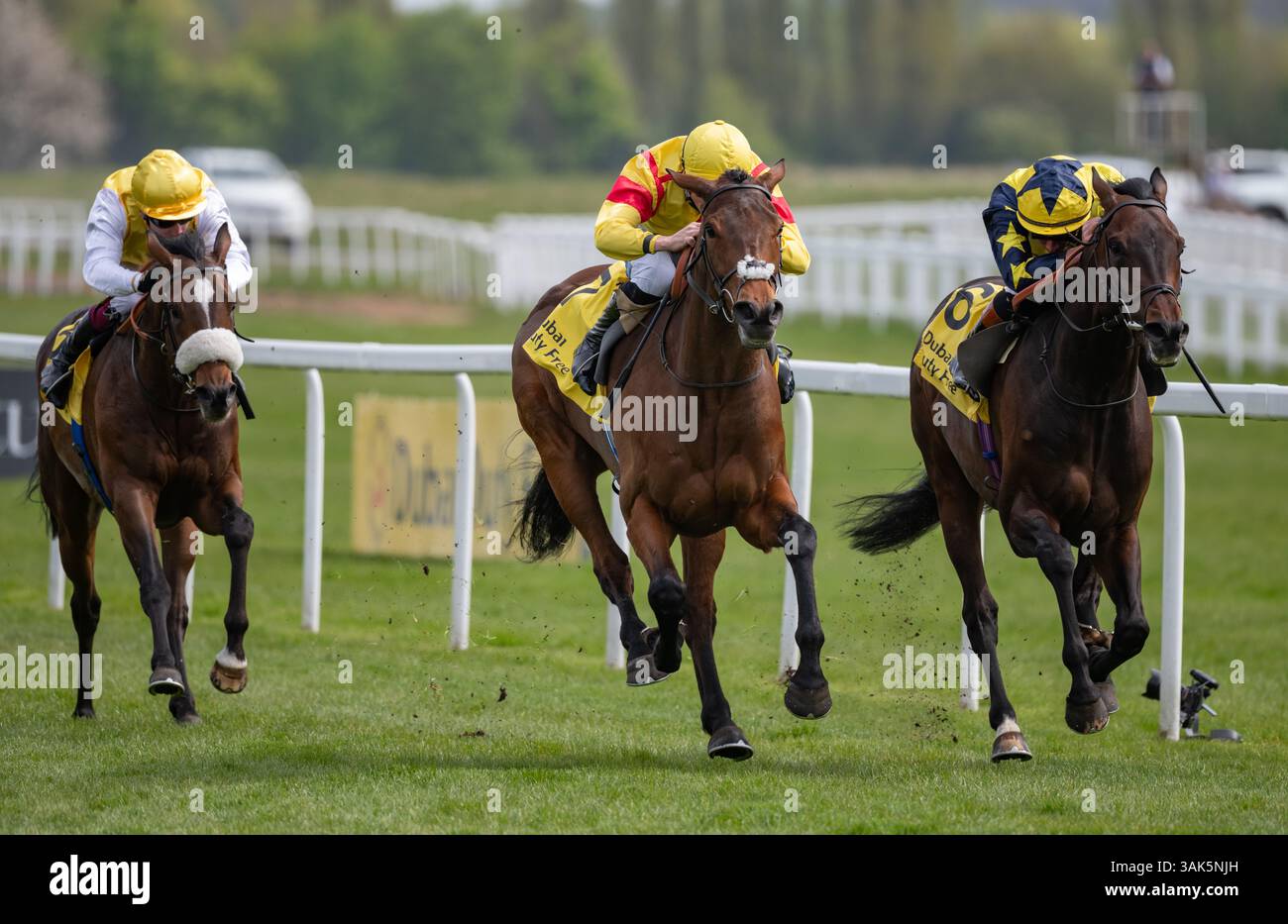 Newbury, Regno Unito. Sabato 12 aprile 2025. Divina Grace e David Probert vincono il Dubai Duty Free Finest Surprise Stakes ( Classe 1 ) ( registrato come John Porter Stakes ) ( gruppo 3 ) per l'allenatore Andrew Balding e i proprietari Top Hat & Tails. Crediti JTW equine Images / Alamy Live News Foto Stock