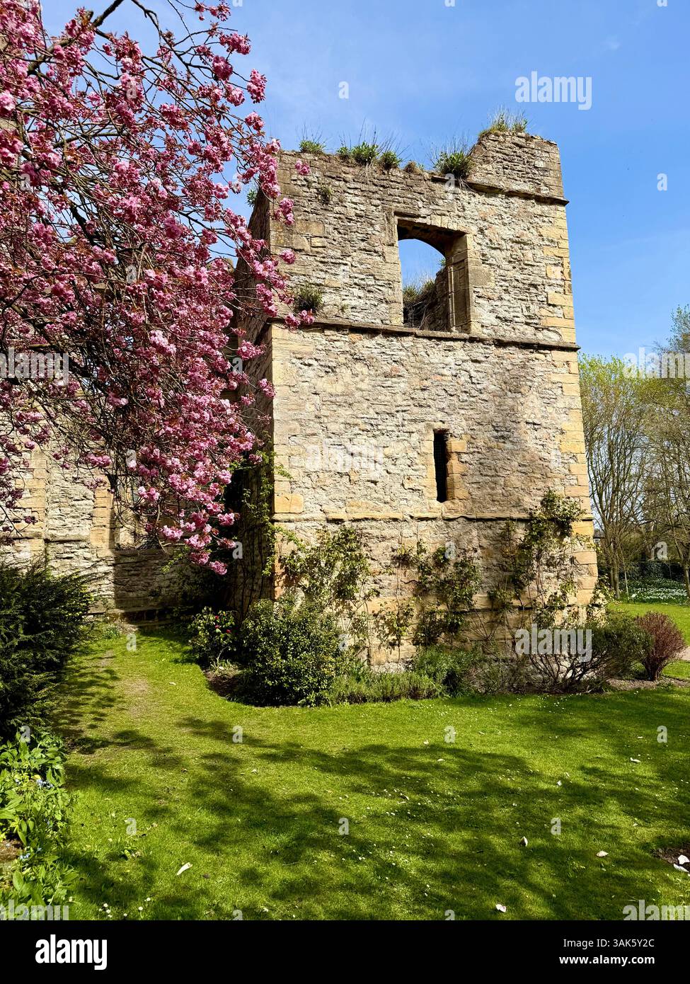 Le rovine storiche dell'Archbishop's Palace a Southwell Minster, Southwell, Nottinghamshire, Inghilterra, Regno Unito Foto Stock