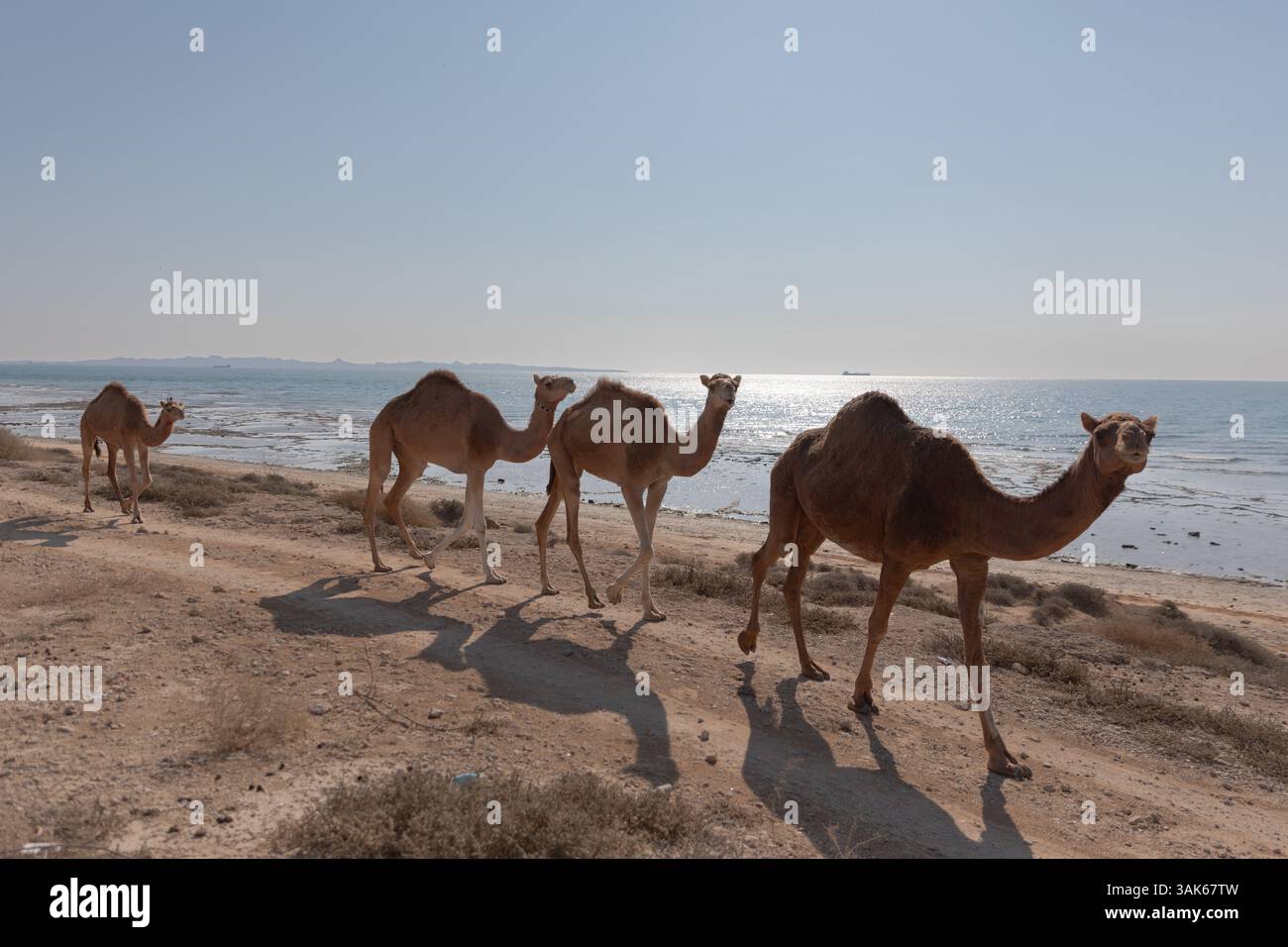 Qeshm e Hengam l'isola sul Golfo Persico Foto Stock