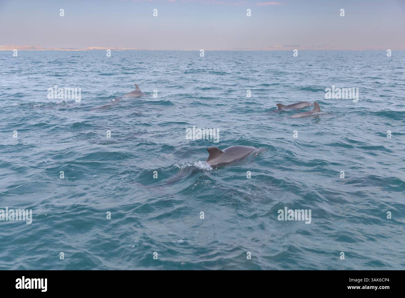 Qeshm e Hengam l'isola sul Golfo Persico Foto Stock