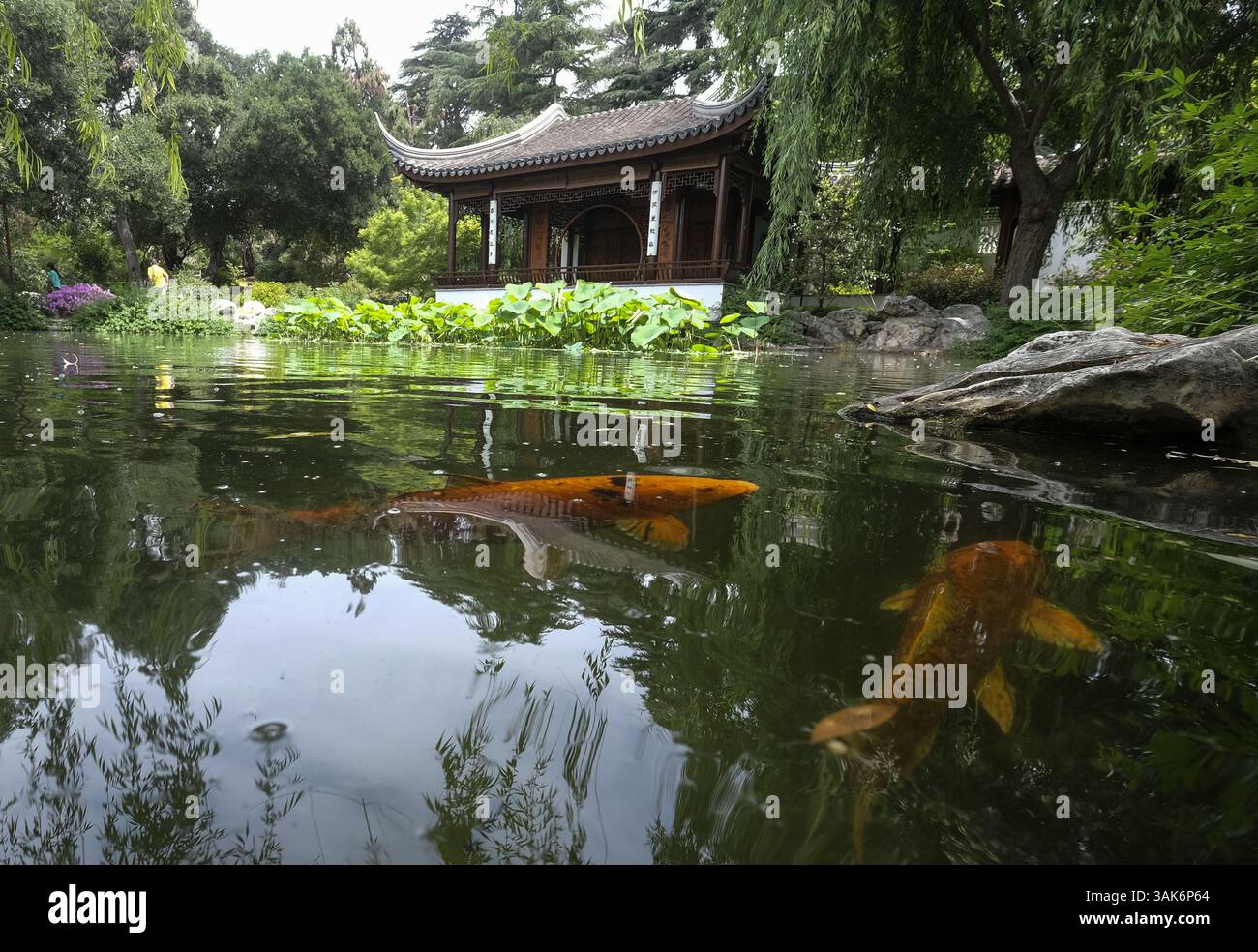 27 aprile 2017 - Los Angeles, California, U. S - The Chinese Garden ''Liu Fang Yuan''' il 27 aprile 207 all'interno della Huntington Library, Art Collections, and Botanical Gardens a San Marino, California, Stati Uniti. Il Giardino della fragranza fluente, Liu Fang Yuan, è tra i più grandi giardini in stile cinese fuori dalla Cina. Progettato per promuovere le ricche tradizioni della cultura cinese, il giardino è davvero uno sforzo interculturale. Architetti e artigiani di Suzhou, la rinomata città giardino della Cina meridionale, hanno lavorato a fianco di costruttori e giardinieri californiani. Di conseguenza, il Giardino del flusso F Foto Stock