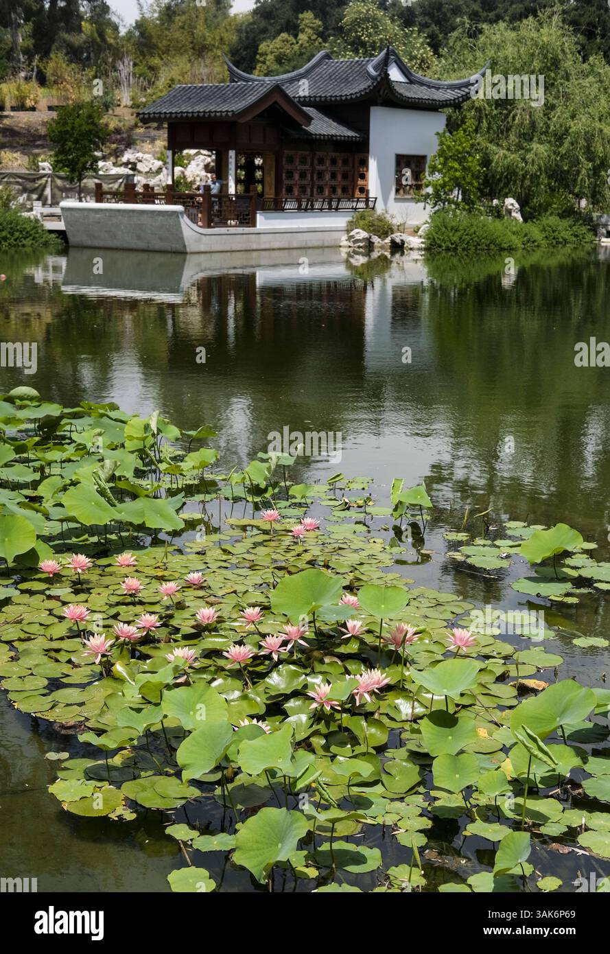 27 aprile 2017 - Los Angeles, California, U. S - The Chinese Garden ''Liu Fang Yuan''' il 27 aprile 207 all'interno della Huntington Library, Art Collections, and Botanical Gardens a San Marino, California, Stati Uniti. Il Giardino della fragranza fluente, Liu Fang Yuan, è tra i più grandi giardini in stile cinese fuori dalla Cina. Progettato per promuovere le ricche tradizioni della cultura cinese, il giardino è davvero uno sforzo interculturale. Architetti e artigiani di Suzhou, la rinomata città giardino della Cina meridionale, hanno lavorato a fianco di costruttori e giardinieri californiani. Di conseguenza, il Giardino del flusso F Foto Stock