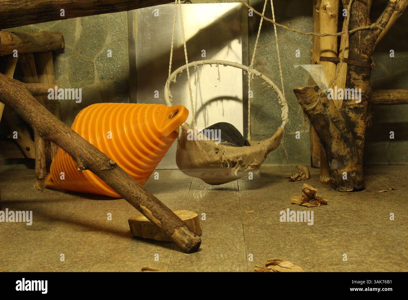 Voliera per gatti selvatici. Tenere gli animali nello zoo. Foto Stock