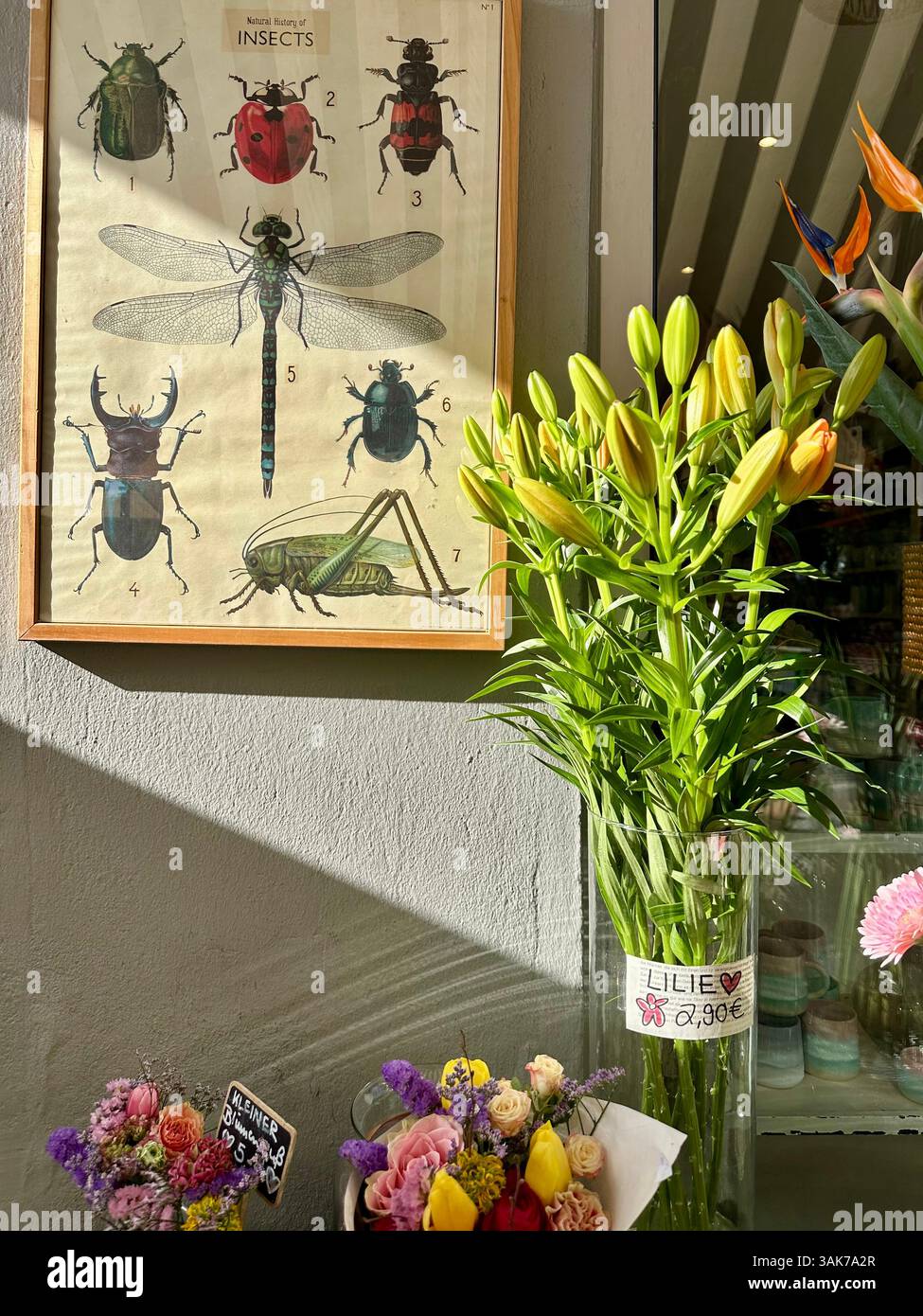 Natura morta presa in un negozio a Berlino, Kreuzberg, che vende fiori e altri oggetti per la decorazione d'interni Foto Stock