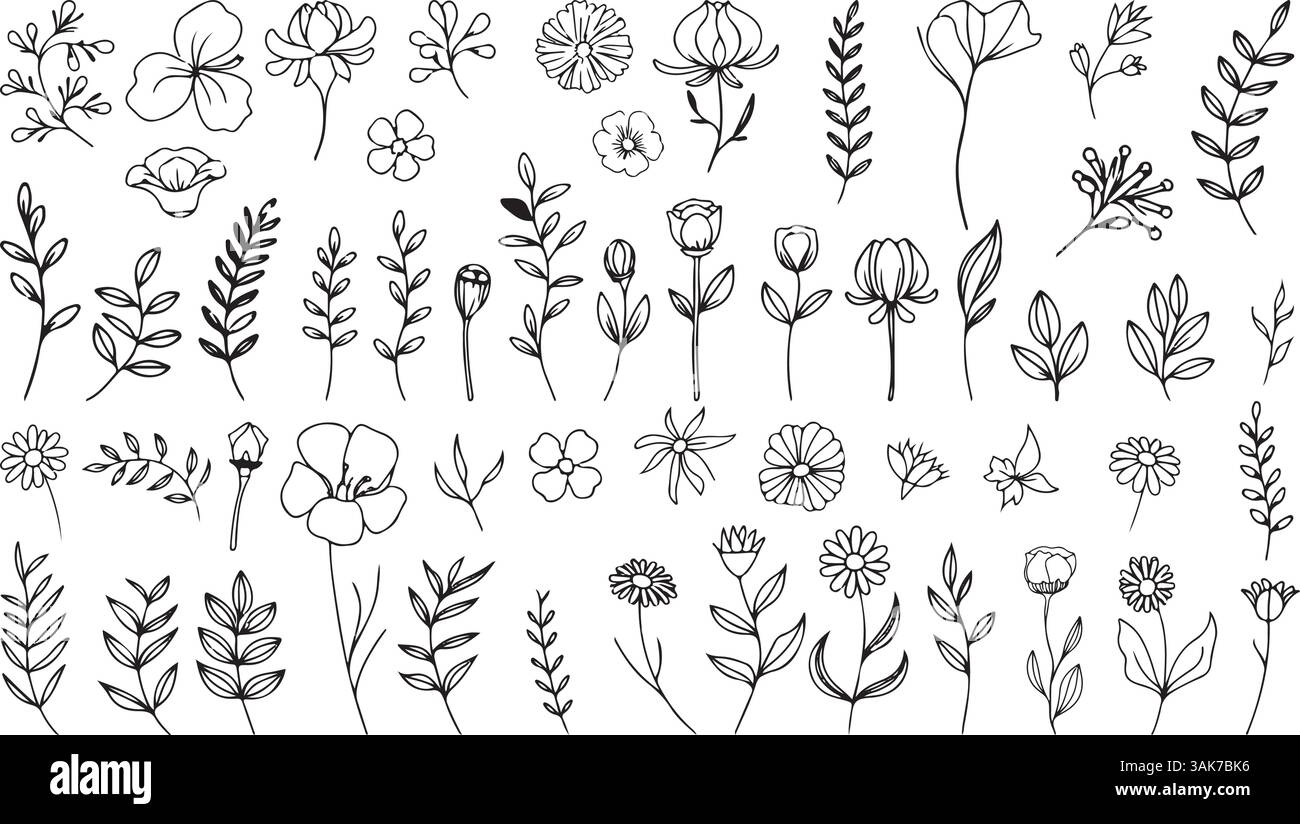 Set di fiori disegnati a mano in stile minimalista Illustrazione Vettoriale