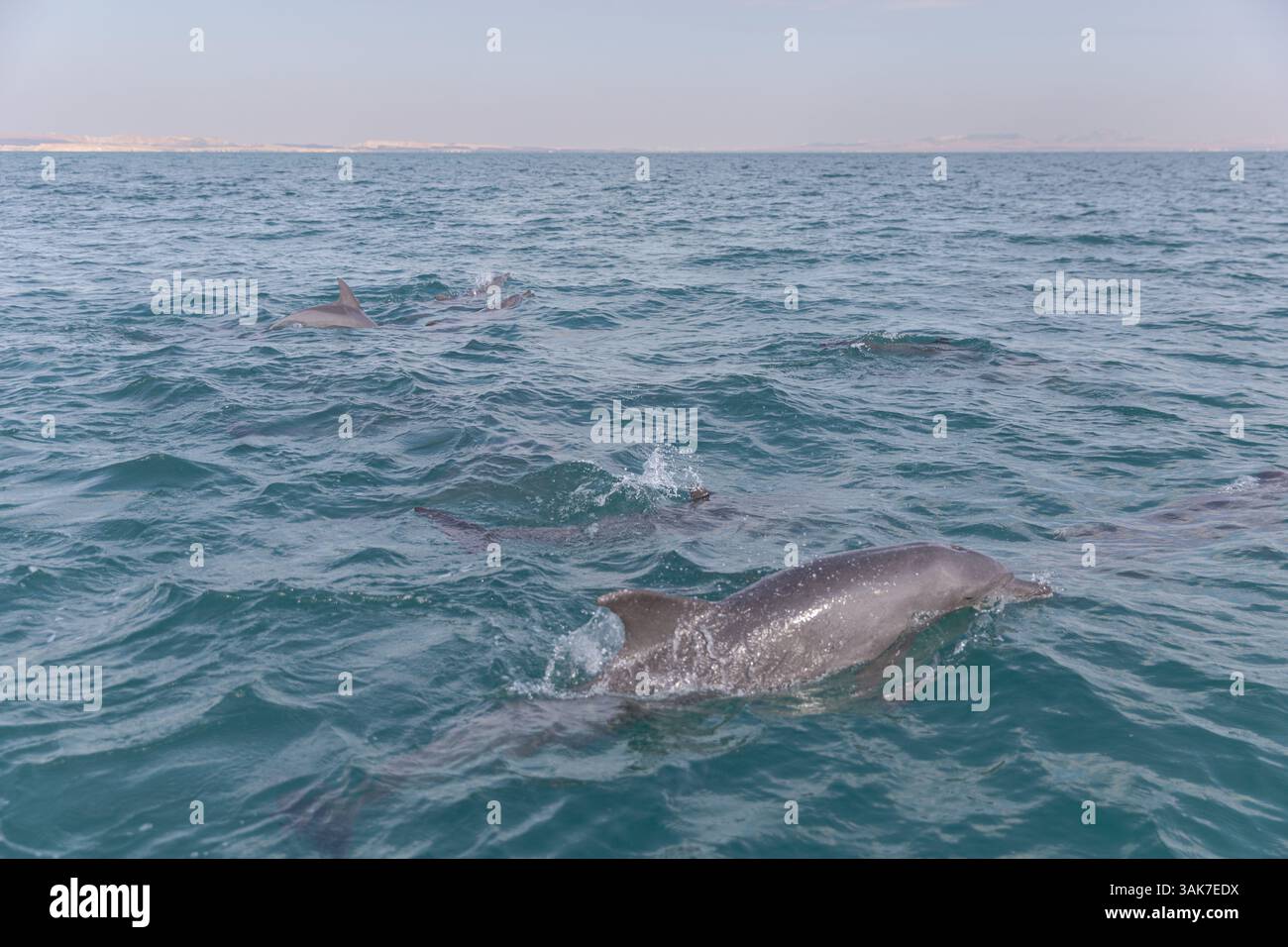 Qeshm e Hengam l'isola sul Golfo Persico Foto Stock