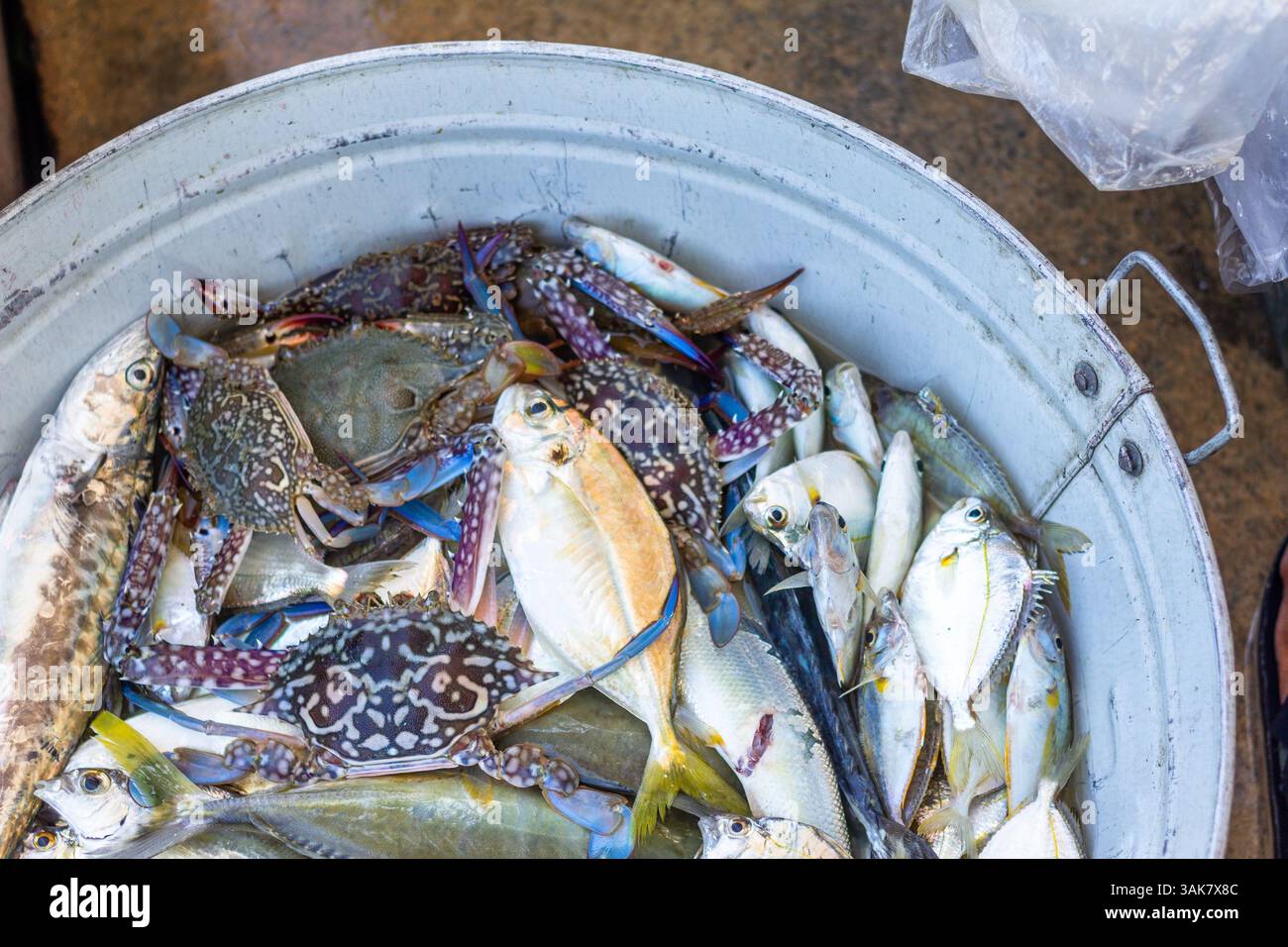 Vari tipi di pesce e prodotti marini all'interno di un contenitore presso un mercato locale di Iloilo, Filippine Foto Stock