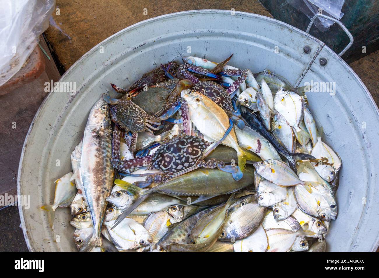 Vari tipi di pesce e prodotti marini all'interno di un contenitore presso un mercato locale di Iloilo, Filippine Foto Stock