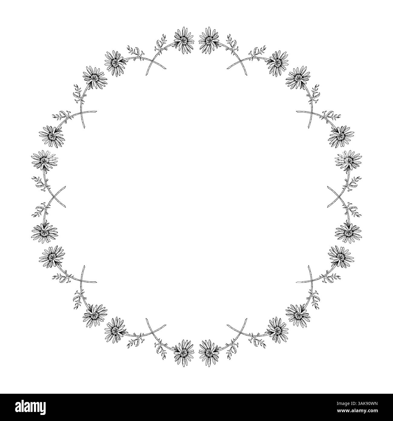 Delicata corona tonda fatta di fiori selvatici e steli sottili con foglie. Composizione floreale disegnata a mano con camomilla, echinacea, rudbeckia o. Illustrazione Vettoriale Delicata corona tonda fatta di fiori selvatici e steli sottili con foglie. Composizione floreale disegnata a mano con camomilla, echinacea, rudbeckia o. Illustrazione Vettoriale