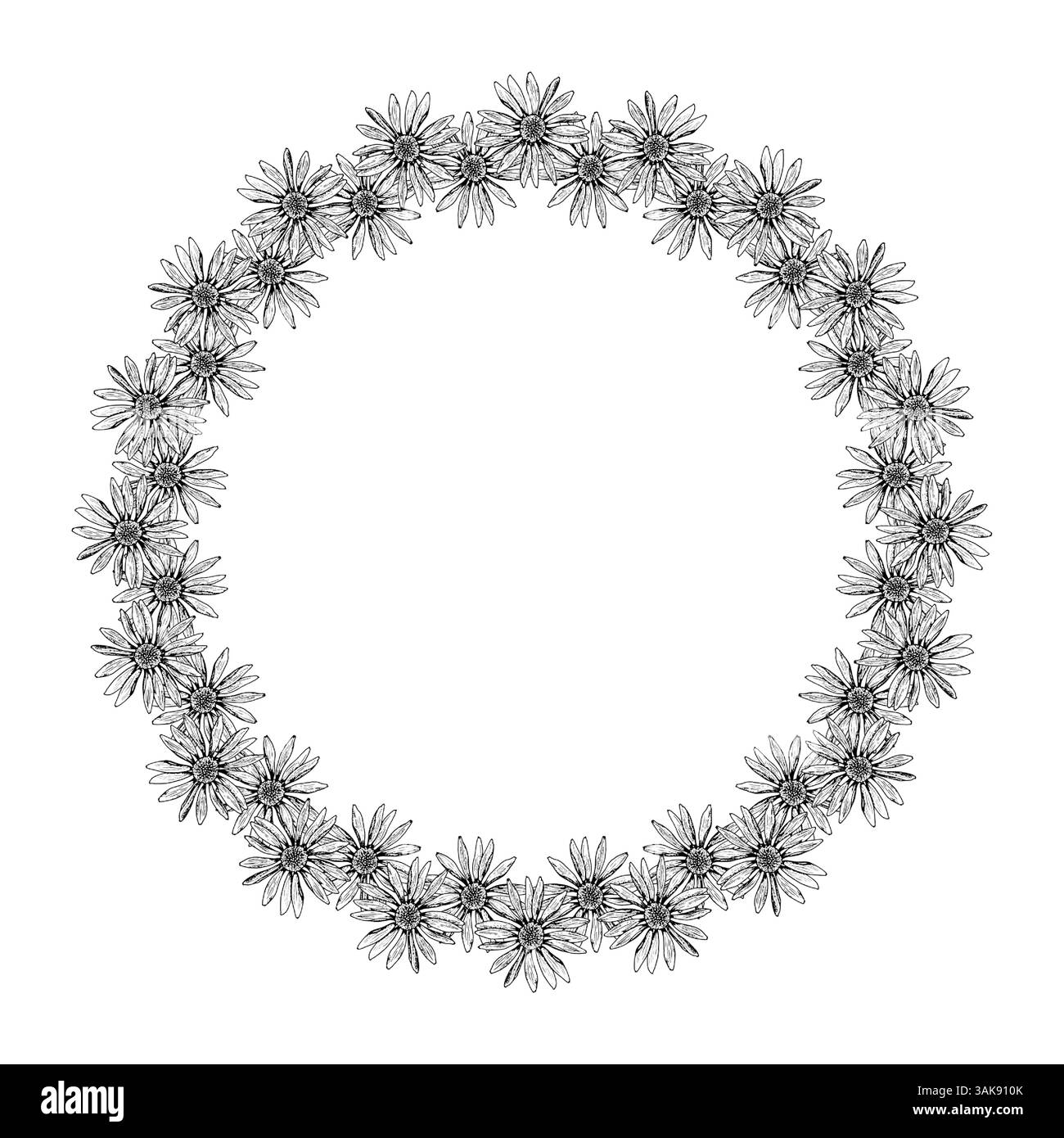 Corona floreale rotonda fatta di fiori selvatici disegnati a mano come camomilla, echinacea, calendula e rudbeckia. Cornice in bianco e nero botanico perfetta per Illustrazione Vettoriale Corona floreale rotonda fatta di fiori selvatici disegnati a mano come camomilla, echinacea, calendula e rudbeckia. Cornice in bianco e nero botanico perfetta per Illustrazione Vettoriale