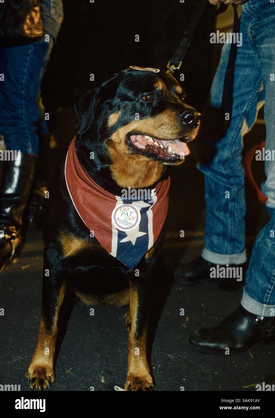 3 maggio 1996 - Bethesda, Maryland, U. S - il candidato presidenziale repubblicano Pat Buchanan lavora una linea di corda esterna firmando autografi dopo aver parlato in casa ad una manifestazione in una chiesa a Bethesda Maryland, 3 maggio 1996. Il cane del sostenitore al raduno. (Immagine di credito: © Mark Reinstein via ZUMA Wire) Foto Stock