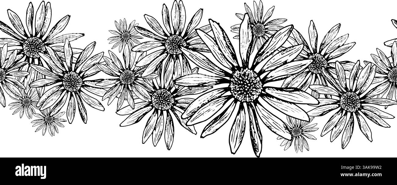 Bordo floreale senza cuciture con fiori selvatici disegnati a mano che ricordano camomilla, calendula, echinacea e rudbeckia. Ideale per tisane, cosmetici, feste Illustrazione Vettoriale