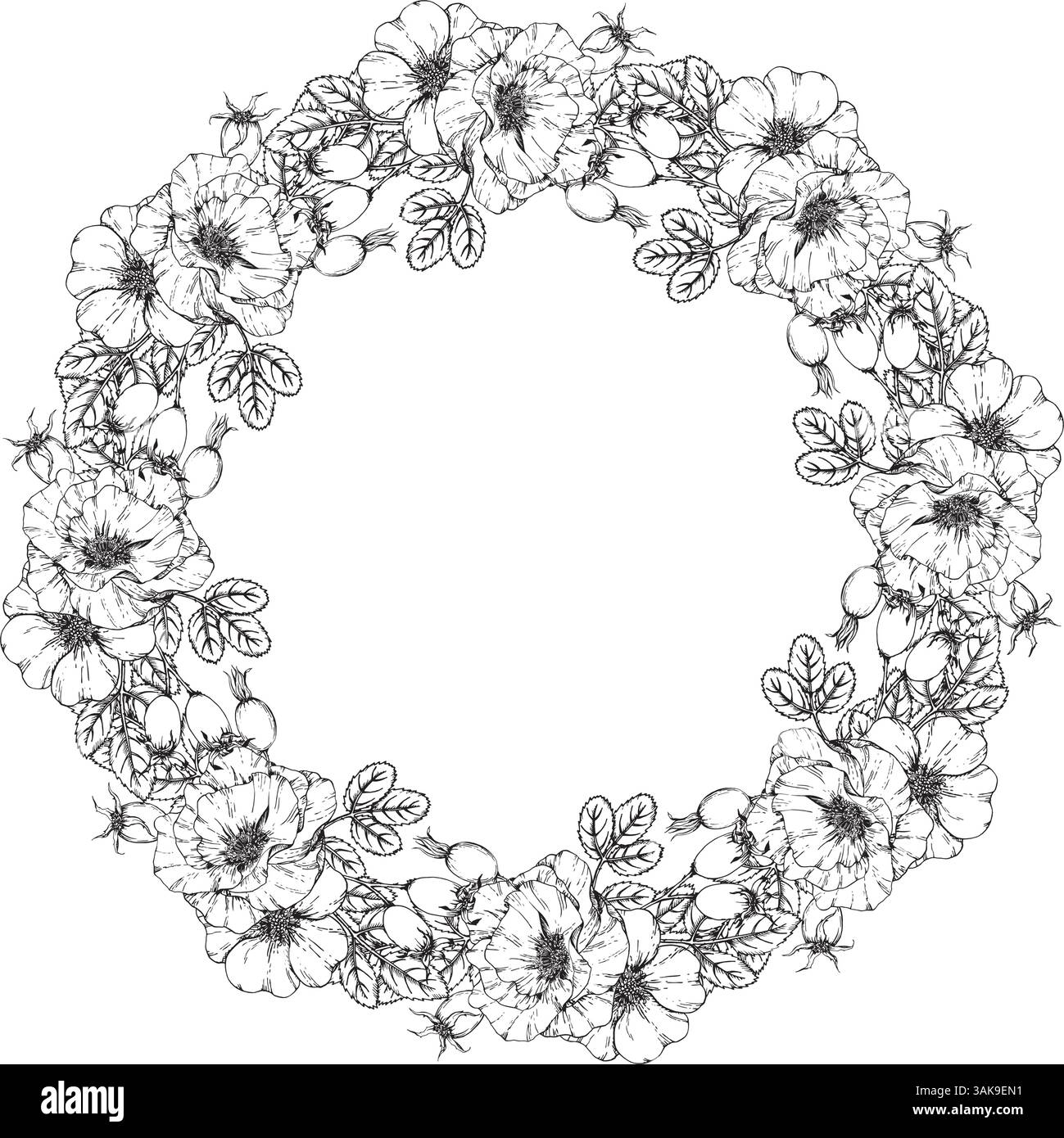 Corona floreale disegnata a mano con rami di rosa, fiori, gemme e frutti di bosco. Perfetto per tè alle erbe, prodotti naturali per la cura della pelle, inviti di nozze Illustrazione Vettoriale