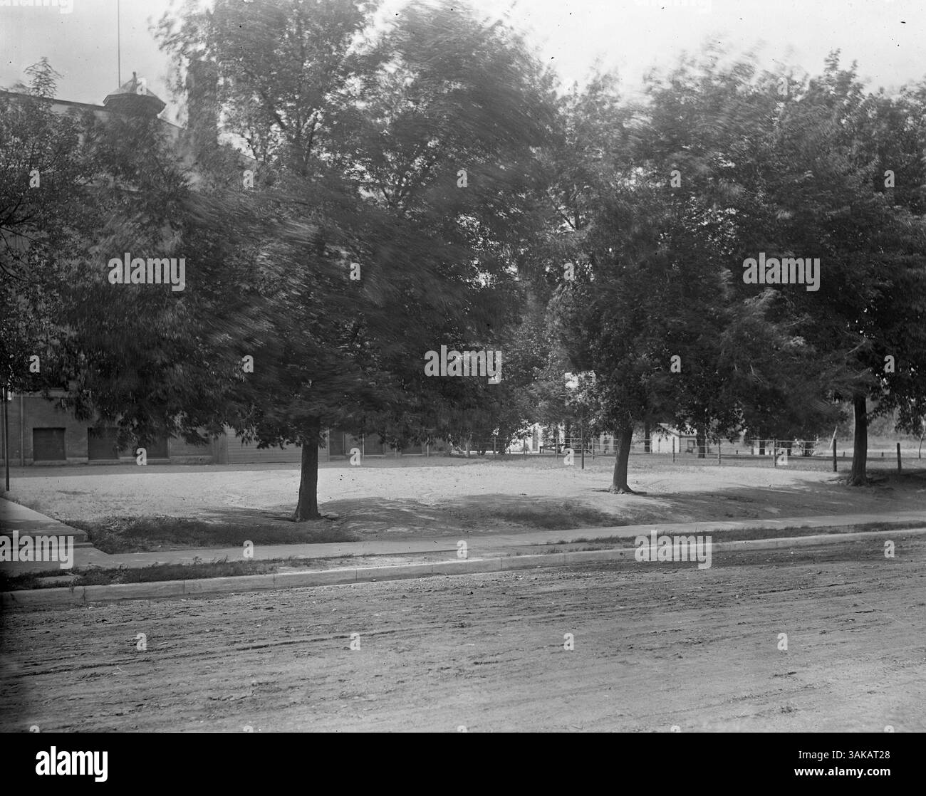 Foto scattata in estate che mostra l'esterno della Warrington School, parzialmente coperto da alberi, che riflette l'ambiente naturale della scuola. Foto Stock